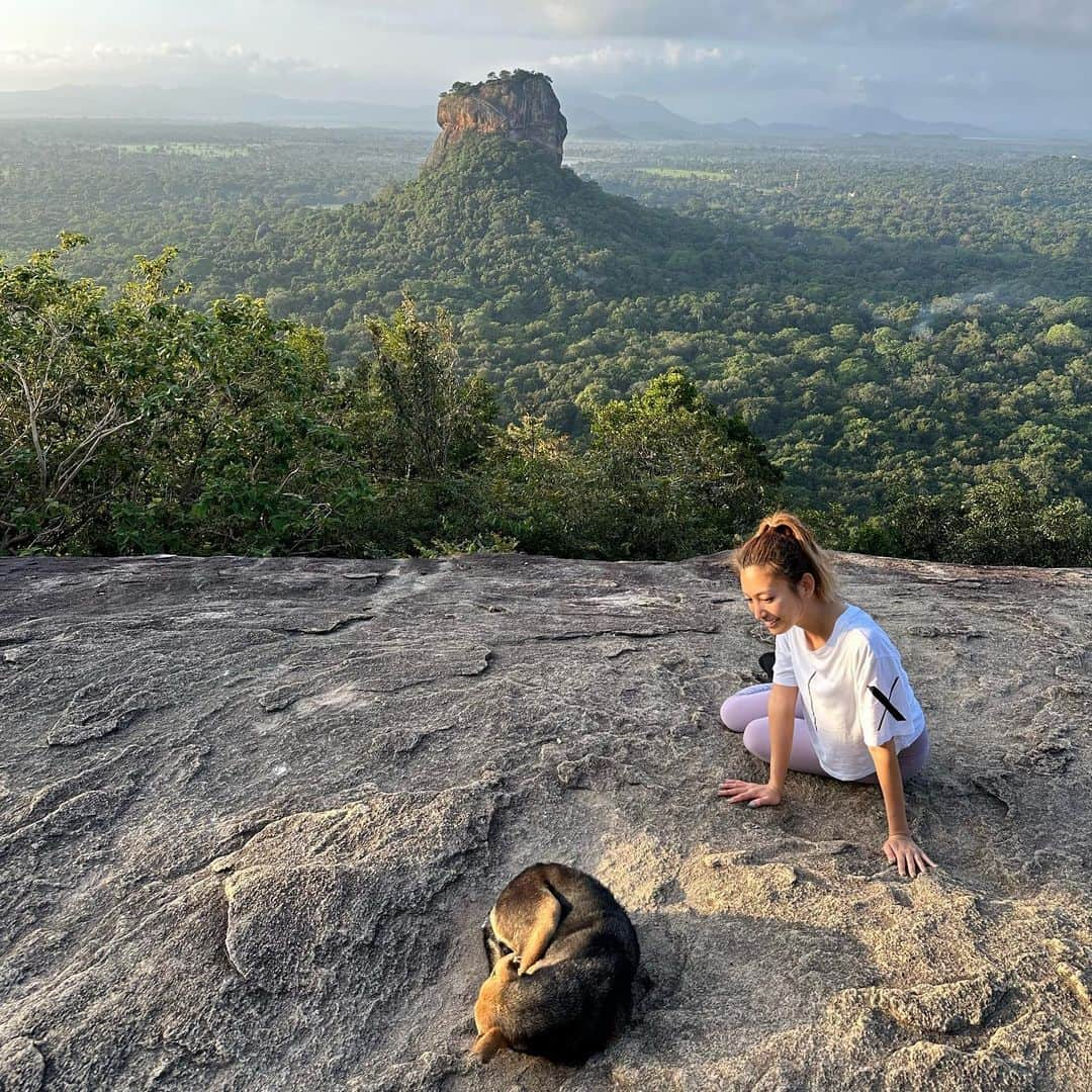 市原彩花さんのインスタグラム写真 - (市原彩花Instagram)「Pidurangala Rock🇱🇰  ピドゥランガラ⛰ シーギリヤロックが1番綺麗に見える絶景ポイント🌿 シーギリヤロックからの景色も良かったけど、こちらも甲乙付け難い美しさ☺️ スリランカ来たらぜひどちらも登ってほしい！✨  私たちは朝日も見る為に6時から登山したよ🥾 20分くらいで着くけど、岩場がすごいから体力と注意力が必要⚠️ 肌の露出もダメなので半袖長ズボンで👕 雨上がりとかは危険なのでぜひ晴れた日に☀️ 入場料は1000ルピー(¥350)  スリランカツアー @srilankaby_michi  ツアー代表のミチちゃん @michi_1017  スリランカホームステイ @srilankabymichi_homestay   #srilanka#スリランカ#srilankatravel#srilankatrip#スリランカ旅行#スリランカ観光#スリランカ旅行記#シーギリヤロック#シギリヤロック#sigiriya#sigiriyarock#世界遺産#worldheritage#海外旅行#ピドゥランガラ#Pidurangala #あーちゃんスリランカ」1月19日 19時21分 - ayaka_ichihara