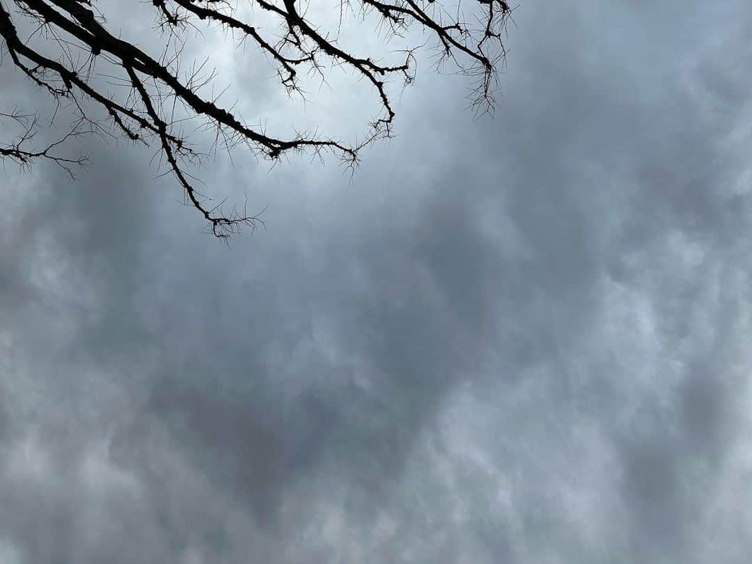 穂川果音さんのインスタグラム写真 - (穂川果音Instagram)「天気図見て、なんとなく雲厚めエリアに☁️ あ、ちゃんと仕事も兼ねてるよ笑 今日もお疲れ様でした〜  #雲　#天気」1月20日 1時31分 - hokawakanonn