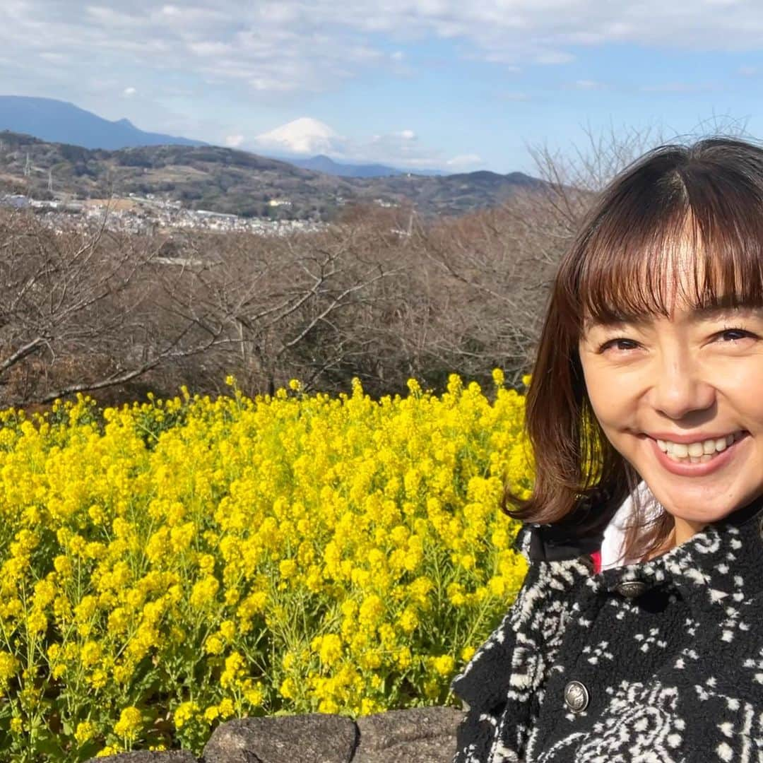 田中律子さんのインスタグラム写真 - (田中律子Instagram)「朝から撮影で、神奈川県二宮町でロケ❗️寒かったけどお天気も良くて、菜の花畑ごしに富士山見たり、美味しいご飯食べたり、色々散策したり、楽しかったー❤️  ロケご一緒した里井さん、二宮町プリンス🤴ありがとうございました🙌🏼二宮町のみなさんもありがとうございましたー❤️オンエアのお知らせは、またマネージャーから告知しますねー🤩  今日は、徹子の部屋放送です、ぜひご覧くださいね📺  #朝からロケ  #二宮町  #菜の花と富士山  #楽しいロケでした  #ありがとう」1月20日 10時26分 - ri2kotanaka