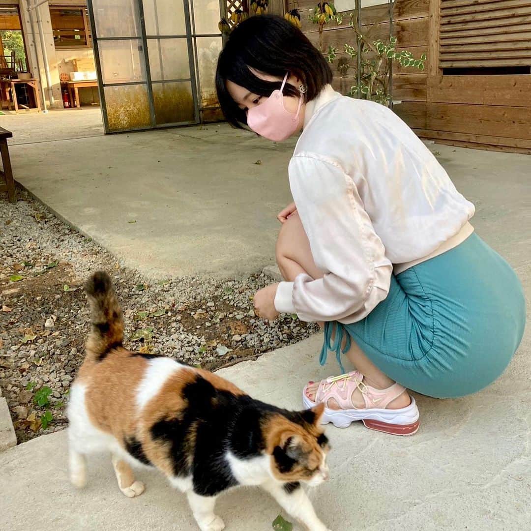 九条ねぎ あぴるさんのインスタグラム写真 - (九条ねぎ あぴるInstagram)「There are many cats in Okinawa, the food is delicious, the nature is beautiful, and you can be happy every day💖💖　　  #japan #japanesegirl #japantrip #沖縄」1月20日 19時25分 - negi_kujyo