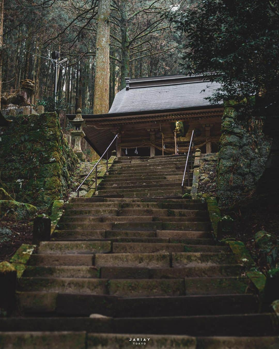 セキユウティンさんのインスタグラム写真 - (セキユウティンInstagram)「Secret entrance⛩️ @jariays 📸」1月20日 22時14分 - shi_yuting35