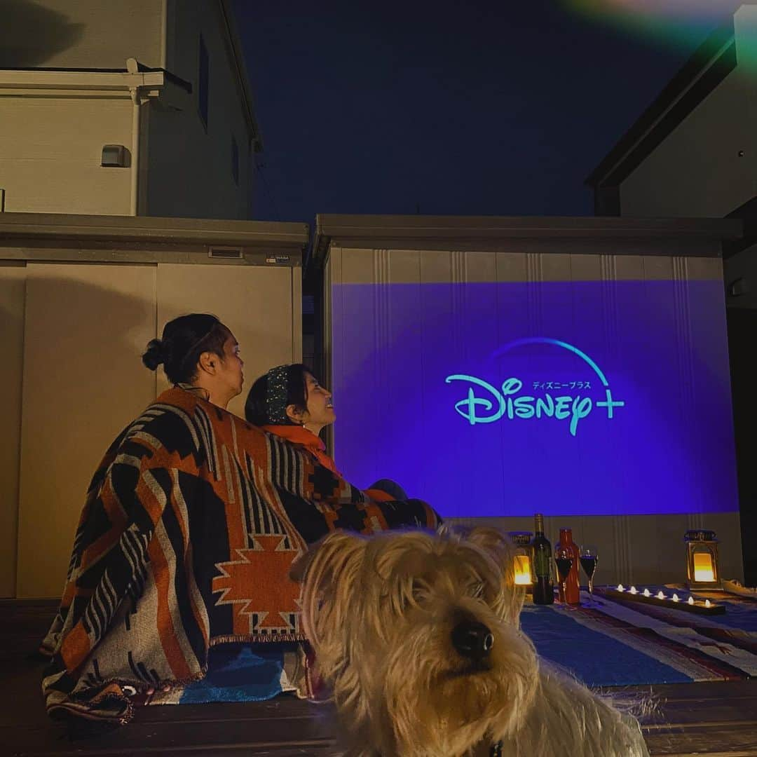 渡辺由布子さんのインスタグラム写真 - (渡辺由布子Instagram)「🎬  昨年からDisney＋(@disneyplus )のWEB CMに夫婦(と🐶)で出演しています。  台本もアフレコも自作自演というのが今回の最大の課題。 アメリカ本国のOKが出るまで何度もミーティングや編集を重ね、ついに完成した渾身の力作です。  2年前にDIY企画で作ったウッドデッキとプロジェクターが今になって役に立ちました。(🔨Special thanks: @m_zukyman )  多くの人から「CM見たよー」と声をかけてもらえたのですが、私のSNS広告には一向に現れません。どういうアルゴリズムなんだろう？  2023年2月まで放送予定なのでどこかで目にするかも？♡  貴重な機会をありがとうございました！！！ @disneyplusjp   #disneyplus #disneychannel #webCM #shooting #myhome #DIY #movienight #lifewithdogs #weekendvibes #stayhome #ディズニープラス #マイホーム #ウッドデッキ #ホームシアター #犬のいる暮らし #いぬすたぐらむ #暴れ犬」1月21日 14時06分 - watanabe_yuko