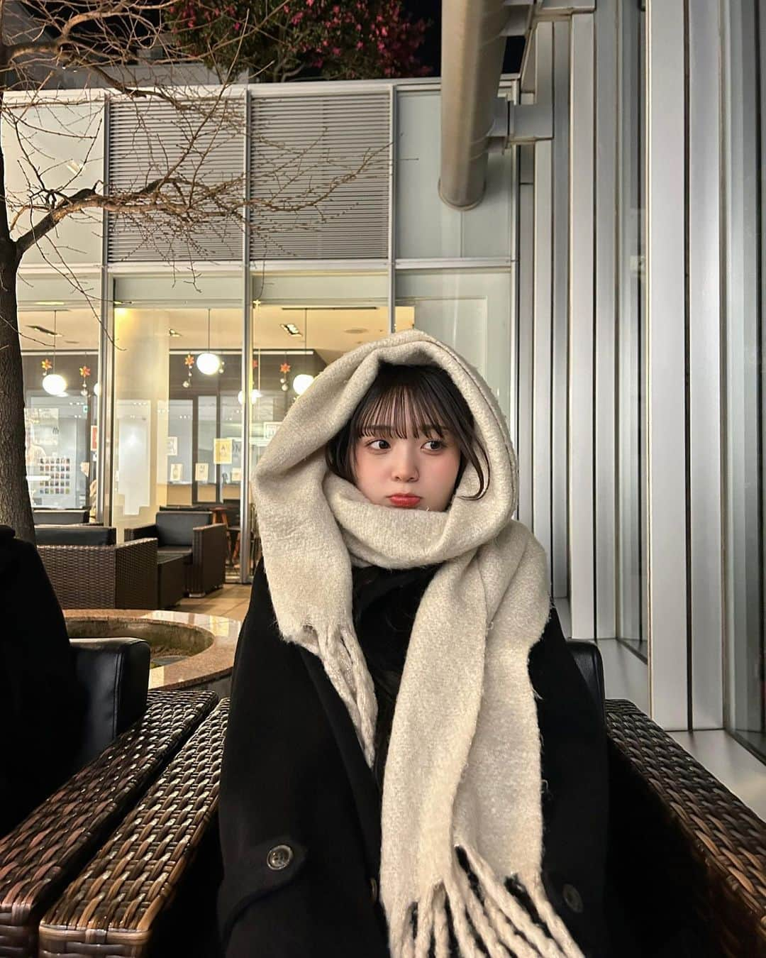 山崎美優（みゆ）さんのインスタグラム写真 - (山崎美優（みゆ）Instagram)「マフラー❄️  #マフラー」1月21日 19時19分 - miyu_911_m