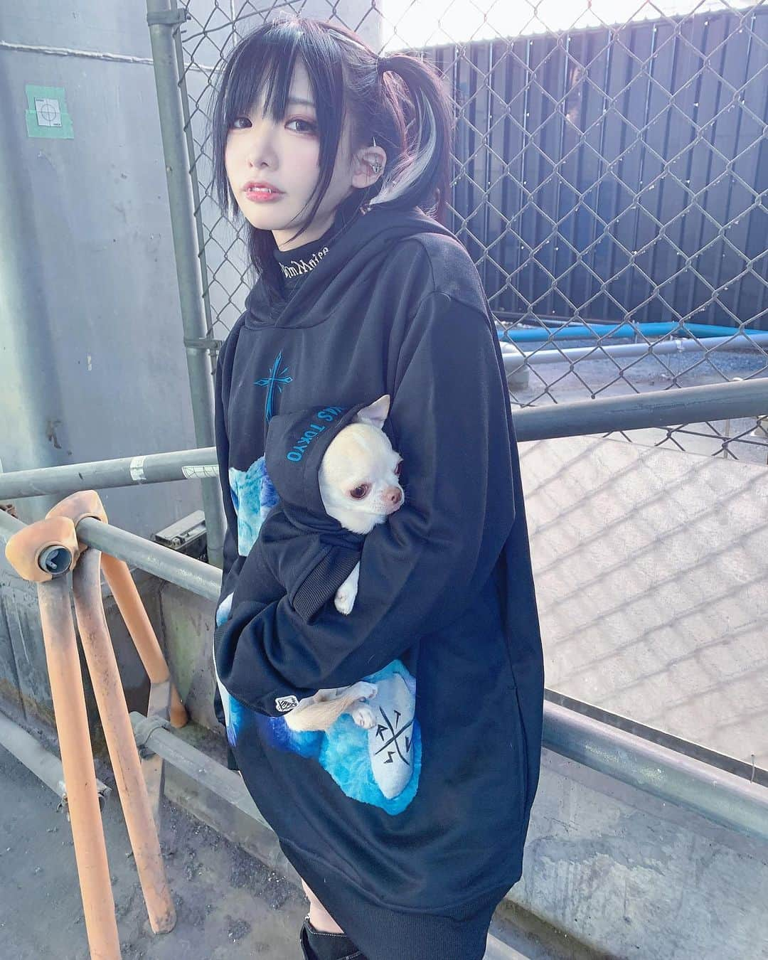 椎名ひかり（ひかりん）さんのインスタグラム写真 - (椎名ひかり（ひかりん）Instagram)「TRAVAS TOKYOからドッグウェアがでたーーー！！！♆(⃔*`꒳´*魔)⃕↝  ミニマムTRAVASかわゆすぎる 見慣れたTRAVASくまちゃんが小さくなって愛おしい  こーゆーの待ってた(´；Д；`)！！！尖ったオシャレな犬服どんどん出してほしい  ビルスが地雷犬になりました  とても人気商品で、 1月20日から再販スタートしたよ！  詳しくはonemileのインスタ覗いてみてに　カラバリもサイズもいっぱいあるよ 是非きみのイッヌにも着させてみてね😈ビルの真似っこして  #椎名ひかり　#travas #travastokyo  #onemile #トラバス　#犬服　#地雷犬　#犬服地雷　#犬服くま　#飼い主とペアルック　#ペアルックコーデ」1月21日 23時33分 - pikarin_shiina