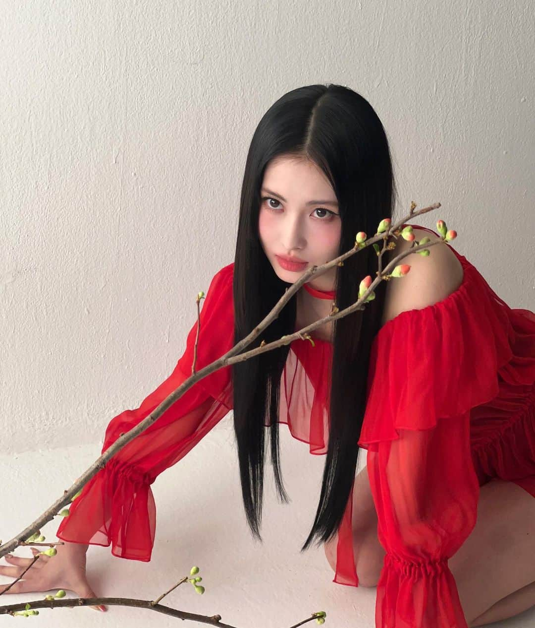 ももさんのインスタグラム写真 - (ももInstagram)「🐊🥀⛩️」1月22日 14時01分 - momo