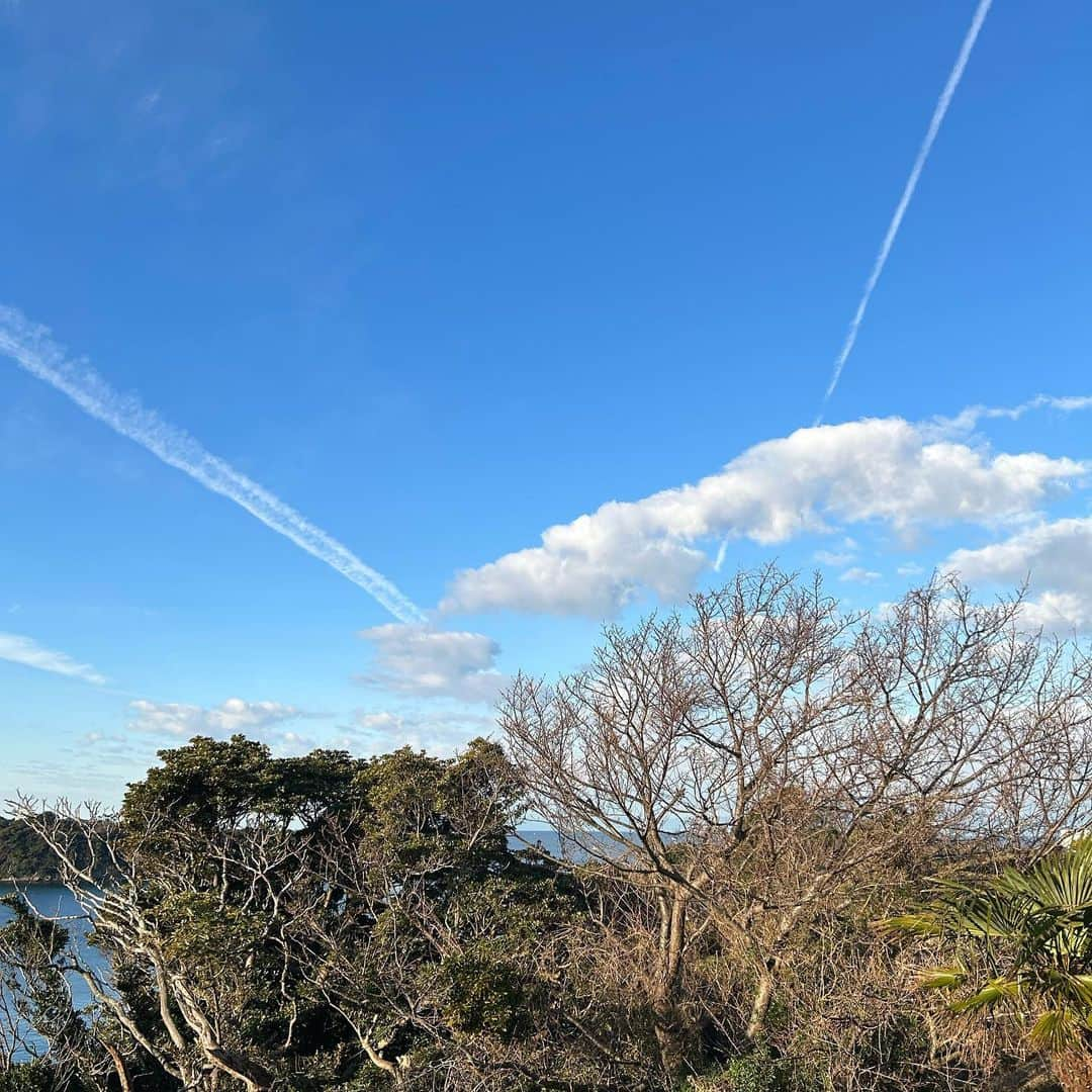 安藤優子さんのインスタグラム写真 - (安藤優子Instagram)「みなさまありがとうございます‼️  一昨年の2月1日から思い立って始めたこのInstagram。  ホントにど素人の投稿で、写真もなんだかなーという感じで、それでも少しずつフォローしてくださる方が増えて。  10万人‼️  これ謙遜でもなんでもなくて、熱心にフォローして、コメントをくださるみなさまの応援のおかげです。  いま一度、御礼申し上げます。  とりわけ、昨年の2月の下旬に、フレンチブルドッグのいちごがお空へと旅立った時には、心身ともにかなり辛い状態で、そんな時にどれほどみなさまの心のこもったコメントに慰められたことか。  何度も何度も繰り返しみなさまのコメントを読ませていただきました。  ありがとうございました。  あの時インスタでみなさまと繋がれたことに心より感謝しました。  言葉のチカラ。  労りの言葉のチカラ。  これからも拙い写真や画像ではありますが、日々のことなど、綴っていきたいと思います。  これからもどーぞよろしくお願い致します。  事務所スタッフから「サプライズがあるかも」のむちゃぶり（笑）がありましたが、何がサプライズになるのか？よーく考えてまたお知らせいたします‼️  アップしたのは昨日の海の家から見た空。  飛行機雲がやたらに綺麗でした。  そして昨晩のテーブルのイチオシは、こごみと筍の煮物です。  スーパーにも春を感じる山菜が増えてきました。  筍はお出汁でゆっくり煮ふくめ、こごみはさっと湯がいて出汁醤油に漬けて、一緒に盛り合わせました。  メインは鰤しゃぶ。  冷凍庫に入れて置いたお正月にいただいたタラバ蟹も解凍。  春と冬の味覚をゆっくり堪能しました。  ご馳走さまでした。  遅くなりましたが、みなさまへの御礼まで。  今後ともどうぞよろしくお願い致します‼️  #フレンチブルドッグ  #安藤優子」1月22日 14時08分 - yukoando0203