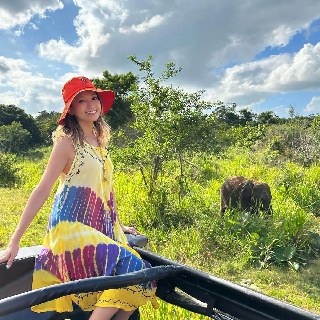 市原彩花さんのインスタグラム写真 - (市原彩花Instagram)「Safari tour🐘 We saw a lot of wild elephants😆  ジープでサファリツアー🐘 サファリで動物探すの夢だったの🥹✨ アフリカまで行かなくてもスリランカで体験出来ちゃう🥰 (スリランカへはシンガポールから4時間、日本からだと8〜10時間✈️)  たくさんのゾウやクジャク、マングースとかを近くで見れて大興奮🥳 風を感じながら動物探すのも楽しかったー☺️  もっと遠いサファリ(ここから車で5時間)だとトラやチーターも見れるから次はそっち行ってみたいな🥰  スリランカツアー @srilankaby_michi  ツアー代表のミチちゃん @michi_1017  スリランカホームステイ @srilankabymichi_homestay   #srilanka#スリランカ#srilankatravel#srilankatrip#スリランカ旅行#スリランカ観光#スリランカ旅行記#シーギリヤロック#シギリヤロック#sigiriya#sigiriyarock#世界遺産#worldheritage#海外旅行#サファリ#サファリツアー#safari#象#elephant#elefantes #あーちゃんスリランカ」1月22日 18時32分 - ayaka_ichihara