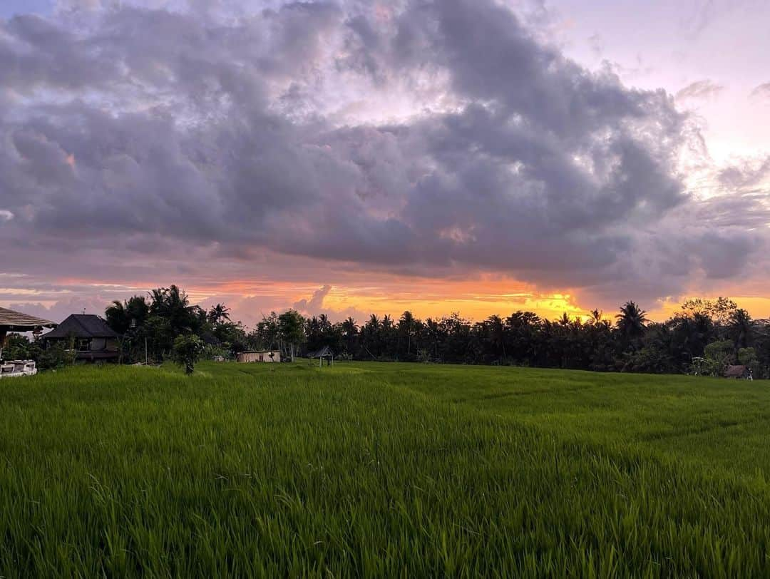 Leslie Camila-Roseさんのインスタグラム写真 - (Leslie Camila-RoseInstagram)「Warning ⚠️: spider in the last pic.  Indonesia 2022  My happy place : in the quietness of the rice fields. Surrounded by fireflies, frogs and roosters.  Waking up before sunrise, chasing my sleep right after sunset… Following clouds to avoid showers. But laughing when ending up in the rain. Listening to insects I’ve never met before. Meeting locals who introduce me to a whole new world. Avoiding humans with cellphones near by… escaping who I once was. Crying when counting the number of real estate developments. Questioning culture appropriation when joining a group of “chanting” meditation. And leaving the room because it starts to itch and feels somewhat wrong for the first time in two decades. Deconstructing belief systems fed by capitalism. Feeling guilty of being part of conformism. Separating spirituality from trends. Realizing my “conscious” prism is just another very very closed box. Understanding critical thinking is as important as an open heart. Blaming Instagram for ruining what once was. Shaming myself for being an active part of it. Returning to my being with a few layers behind. Trying to decondition myself in a highly conditioned environment lately… a touristic Bali who managed to keep its soul because of its loving people and strong culture despite the occidental waves of expats who not only brought their food diet to the island but also consumerism and wellness schemes hidden behind pop spirituality…  Returning (again and again) to where a long journey started 14 years ago. And this time see things clearly. Being aware that nothing is as it seems. Ever. And it’s up to us to keep an open mind and a loving heart. And above all know when to stop to finally grow.  Onwards. #deconditioned #tourism #conspirituality #cultureappropriation #poppsychology」1月22日 21時27分 - leslie_coutterand