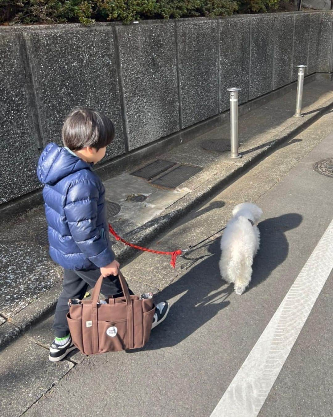 安田美沙子さんのインスタグラム写真 - (安田美沙子Instagram)「おはよう✨  週末の朝は、はんなの病院からスタート🐶  手作りごはん＆薬をしっかり食べてくれて✨元気！  数値がすごくいい訳ではなかったけど。。色々向き合いながら明るく過ごさなければと感じたのでした。  次男とはんなの触れ合いが微笑ましくて。  長男は最近、お散歩係🌈  子供たちと、貴重な時間を一緒に過ごしてほしいです。  今日はお弁当や🍱  頑張るぞー💪  #goodmorning  #dog #bichonfrise  #onedog #family」1月23日 7時48分 - yasuda_misako