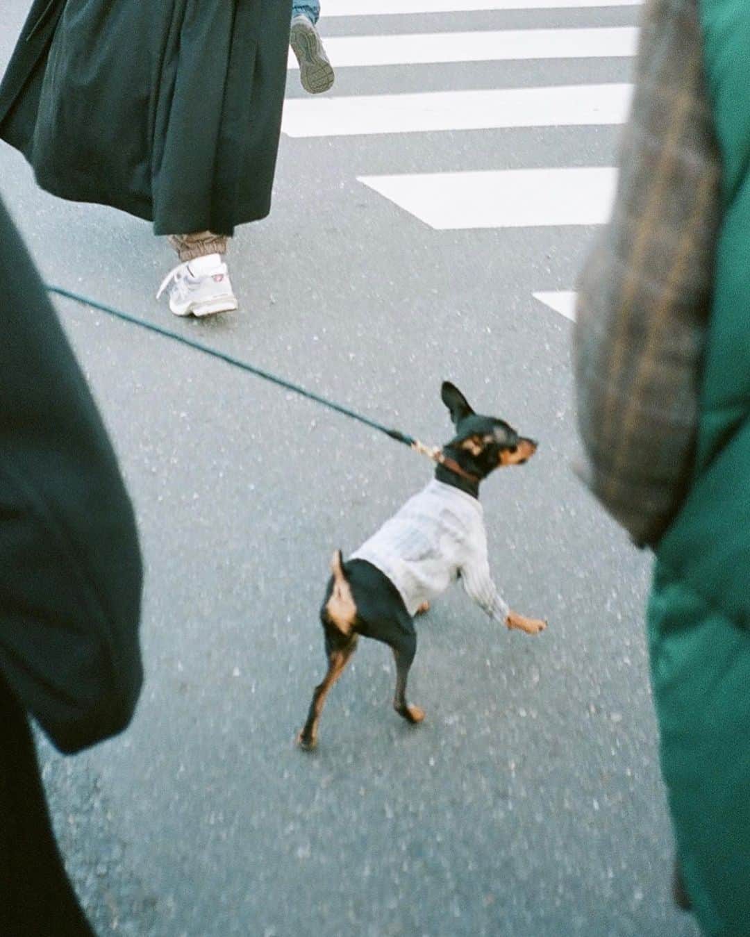 高梨沙羅さんのインスタグラム写真 - (高梨沙羅Instagram)「🚶🚶 #35mm #portra400 #幸せな午後でした  康一郎さんが会わせてくれる皆さま 素敵な方ばかり🙏」1月23日 22時06分 - sara.takanashi