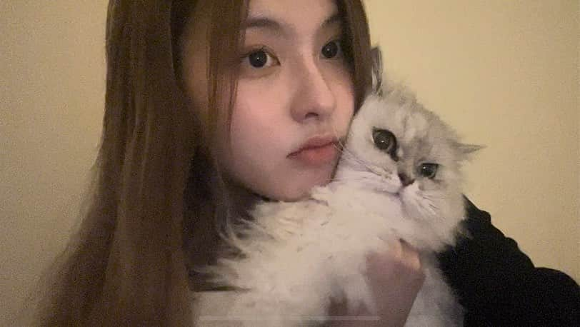 NMIXXさんのインスタグラム写真 - (NMIXXInstagram)「I've missed you🥹  #NMIXX #엔믹스 #배이 #BAE #NSWER #솔스타그램 #MY_CAT_DO」1月24日 10時33分 - nmixx_official