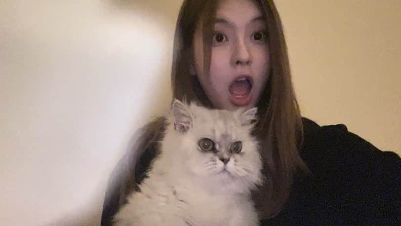 NMIXXさんのインスタグラム写真 - (NMIXXInstagram)「I've missed you🥹  #NMIXX #엔믹스 #배이 #BAE #NSWER #솔스타그램 #MY_CAT_DO」1月24日 10時33分 - nmixx_official