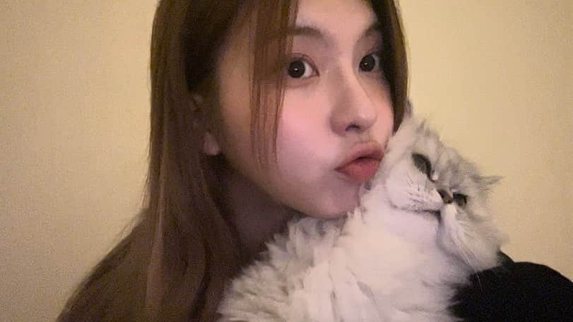 NMIXXさんのインスタグラム写真 - (NMIXXInstagram)「I've missed you🥹  #NMIXX #엔믹스 #배이 #BAE #NSWER #솔스타그램 #MY_CAT_DO」1月24日 10時33分 - nmixx_official