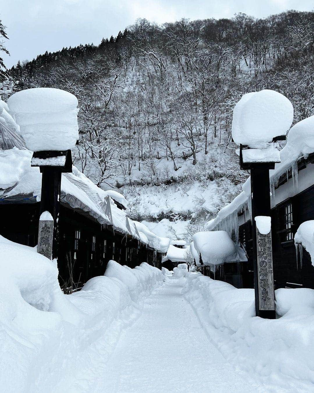 美女naviさんのインスタグラム写真 - (美女naviInstagram)「【美女navi ☻*】雪景色⛄️ * * 今回ご紹介させていただく方は❤️ Miwa さん ▶️▷ @miiiwa_87  * * # Repost . . 皆さんにたくさんの幸せが訪れますように♡ . . Miwa さん のアカウントには 他にも素敵な投稿が(*´﹀`) ぜひ覗いてみてくださいね🧡  * * * 美女navi掲載希望の方は⇒ @bijo_navi ❤️と # 美女navi 、# 美女ナビ タグ付け * 10代限定姉妹アカウント 美少女navi掲載希望の方は⇒ @bishojo_navi 💛と # ビショウジョナビ タグ付け * お願いします✨✨ * * 次回もお楽しみに...😍 * * #雪景色 #雪国 #日本の絶景 #旅好き #女子旅 #女子旅行 #黒髪ロング #黒髪女子 #ロングヘア #さらさらヘアー #ナチュラルメイク #ダウンジャケット #ストレートヘア #シースルーバング #雪 #国内旅行 #韓国メイク #美意識向上 #アイメイク #美意識 #ヘアスタイル #オトナ可愛い #セルフィー女子 #冬コーデ」1月24日 21時00分 - bijo_navi