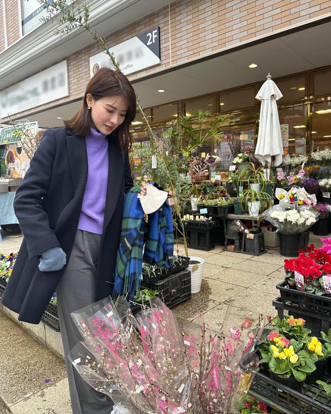 郡司恭子さんのインスタグラム写真 - (郡司恭子Instagram)「* この日は同系色で ちょっとカラフルなコーデに！ 💙💜💚💛  今年初めて さくら🌸を見かけました👀 こんなに寒いのに…🤧もう春がすぐそこに？！  “冬来りなば春遠からじ” って言葉を思い出した！✨ このフレーズ、好きなんです☺️  #latergram #さくら #🌸 #鎌倉  #コーディネート #💜  #日本テレビ #日本テレビアナウンサー  #アナウンサー #郡司恭子」1月24日 22時02分 - kyoko_gunji