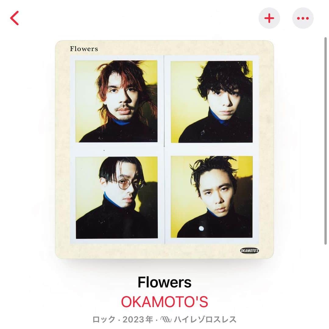 オカモトレイジさんのインスタグラム写真 - (オカモトレイジInstagram)「Flowers!!!!💐」1月25日 21時42分 - okamotoreiji