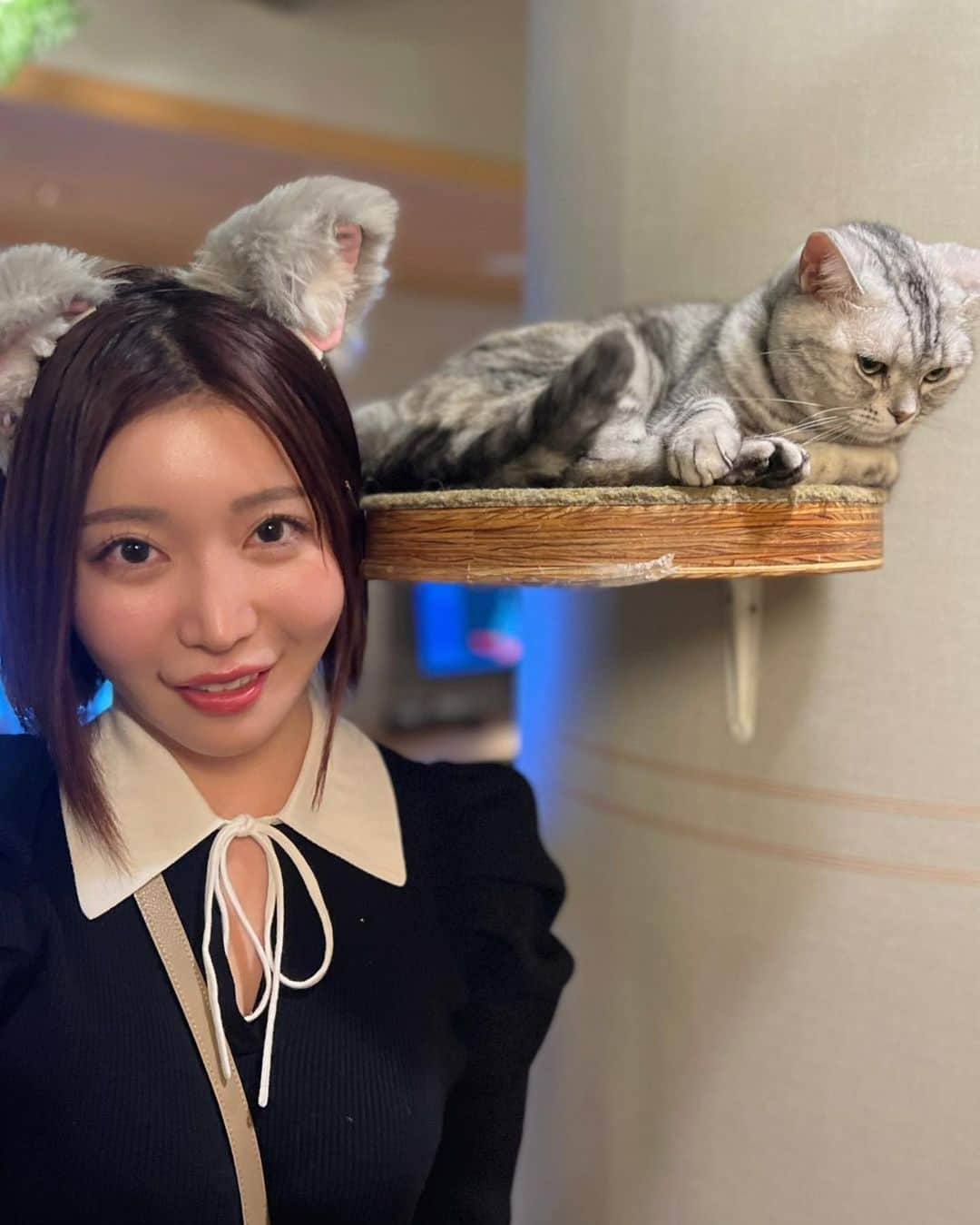 古河由衣さんのインスタグラム写真 - (古河由衣Instagram)「私にとってのオアシス。。  久しぶりに猫カフェにいってきました♡😻 @mocha.sinjyuku  私の推しはあんずちゃん🥰🎈  お転婆な子、食いしん坊な子、クールな子や甘えん坊な子 いろんな個性豊かな猫たちにたくさん囲まれて幸せでした🐈🐈🐈  本当に猫ってそれぞれの良さがあって、誇りもあり素敵。 人もそうでありたいですね🫶  疲れた時はみんなも 動物に癒されてみようね。 人と話すのもいいけど 何か見つかるかも。  #猫カフェ #新宿 #新宿カフェ #新宿猫カフェ #ねこ #カフェ　#猫カフェmocha #pr」1月25日 21時56分 - furuyuistagram