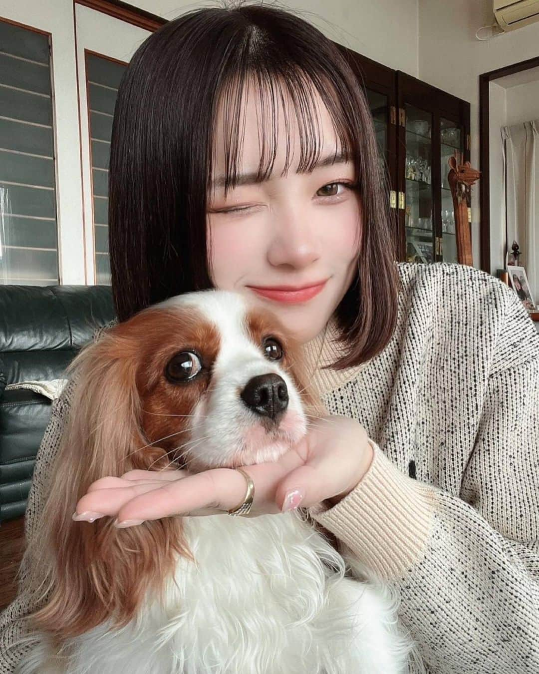 上ノ堀結愛さんのインスタグラム写真 - (上ノ堀結愛Instagram)「・ 癒されるぅ🐶🤍 2枚目とか特に可愛過ぎん？？」1月26日 19時01分 - yua.0201