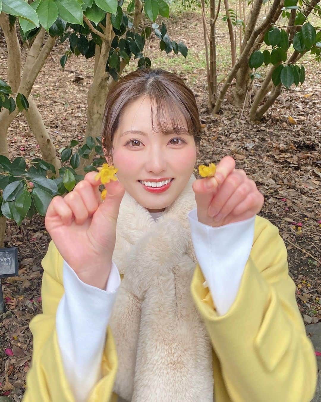 山下七子さんのインスタグラム写真 - (山下七子Instagram)「こんばんは！ 今日も雪がちらついたりと かなり冷え込みましたね〜🥶 皆さん1日お疲れ様でした✨✨  今朝は月に１度の出張のお天気コーナー🚗❄️ 今日は今週のふるさとwishのテーマが 「花あふれるふくおか」とうことで 福岡市中央区にある福岡市植物園からお伝えしました😊  花びらのように見えますが実は葉が変形したブーゲンビレア、ハイビスカスの仲間のウナヅキ ヒメフヨウ、色は黄色だけど形は梅の花にそっくりなソシンロウバイなどが今の時期見頃を迎えていますよ〜🌼🌸🌺  温室エリアや大花壇など植物園どこを歩いても可愛いらしいお花や鮮やかな緑に囲まれていました🌿💐🌵 朝から目が癒された〜✨👀  そんな素敵な福岡市植物園では 現在スタンプラリーを開催中！！ スタンプをゲットすると 豪華賞品が当たるかもしれませんっっ✊🏻✊🏻  今日はソシンロウバイのような鮮やかな淡いイエローコート、花柄スカート、本物のバラで作られたイヤリングで全身お花コーデです🌼  #アサデス#アサデスKBC#KBC#お天気お姉さん#福岡県#ふるさとwish#花wish#出張お天気#福岡市植物園#ソシンロウバイ#ブーゲンビリア #ウナヅキヒメフヨウ #冬コーデ#お花コーデ#イエローコート#花柄スカート」1月26日 20時53分 - yamashita_nanako