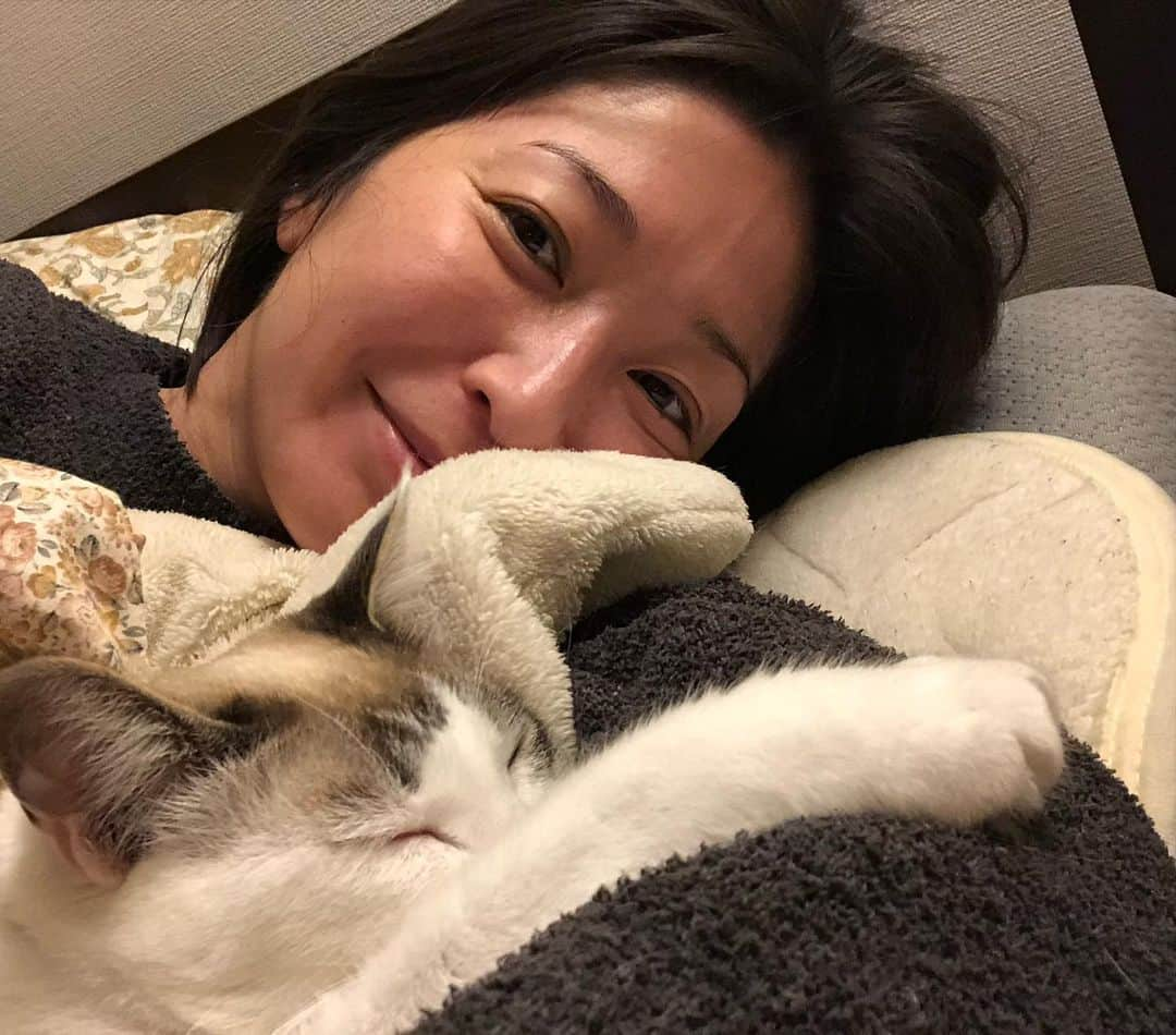 小野真弓さんのインスタグラム写真 - (小野真弓Instagram)「おはようございます☺️  自宅療養5日目🏠🐾  咳と微熱と怠さが少しあるものの、 喉の痛みも大分落ち着き〜  新しい症状としては、 胃腸が弱ってる感じかしら🤔 でも、大分元気です😆✨  あともう少しかにゃー(о´∀`о)  宅食サービスを申し込み、 物資が届きました🎁 ハルちりん 早速物色🐏🐼  もうしばし、自宅に篭りまする。  お外からの日差しが眩しい🌞✨ 良い一日をお過ごしください😆  #コロナ日記」1月27日 9時45分 - hanaharuaroi