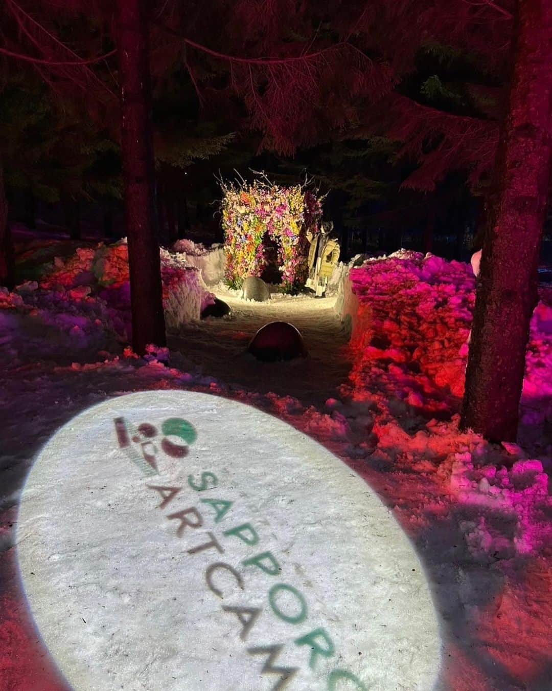 中上真亜子さんのインスタグラム写真 - (中上真亜子Instagram)「こないだの北海道旅はこれ☃️   2/12から開催される 雪が舞う季節に花見を楽しむ！というナイトライフイベント「SAPPOROARTCAMP2023」 のレセプションに参加にして来たよ🥳  1枚目はフローリストによる北海道ならではの ブリザードフラワー演出☃️ 白銀の世界に佇んでて とっても神秘的で美しかった☺️💐最終日2/19には花火もあがるらしいよっ🎇（雪だるまは自分で作ったよ、変わった性格を持ってそうな子になった  今年3回目らしいんだけど 今回から食も加わったということで 参加予定のSapporo Cheese House Mero.による 北海道チーズを使った料理・ワイナリーの 藤野ワインなども堪能させてもらった🤤  そして今回体験したワイルドムスタングスのお馬さん🐴  アートキャンプ会場内にて限定日開催「夜の引き馬体験」も計画中らしい☺️  ちなみに🕺名鉄観光で 「SAPPOROARTCAMP Winter Tours募集中」らしいよっ（詳しくはSAPPOROARTCAMP-HPにて🕺東京・大阪・名古屋・福岡発着💐）  楽しいこと美味しい盛りだくさんだと思うので よかったら是非チェックしてみてね☺️  #リモ旅北海道 #sapporoartcamp #sapporoアートキャンプ #藤野ワイン #wildmustangs #羊々亭 #SapporoCheeseHouseMero. #焼き鳥とイタリアンOsteriaarcobaleno #札幌芸術の森 #BARISTARTCOFFEE #japanairlines #pr #白い恋人でオリジナルのペイントもやったよ👄 #最後の1枚はテンション上がって雪に飛び込んだところだよみんなも気をつけてね」1月28日 19時03分 - maako_nakagami