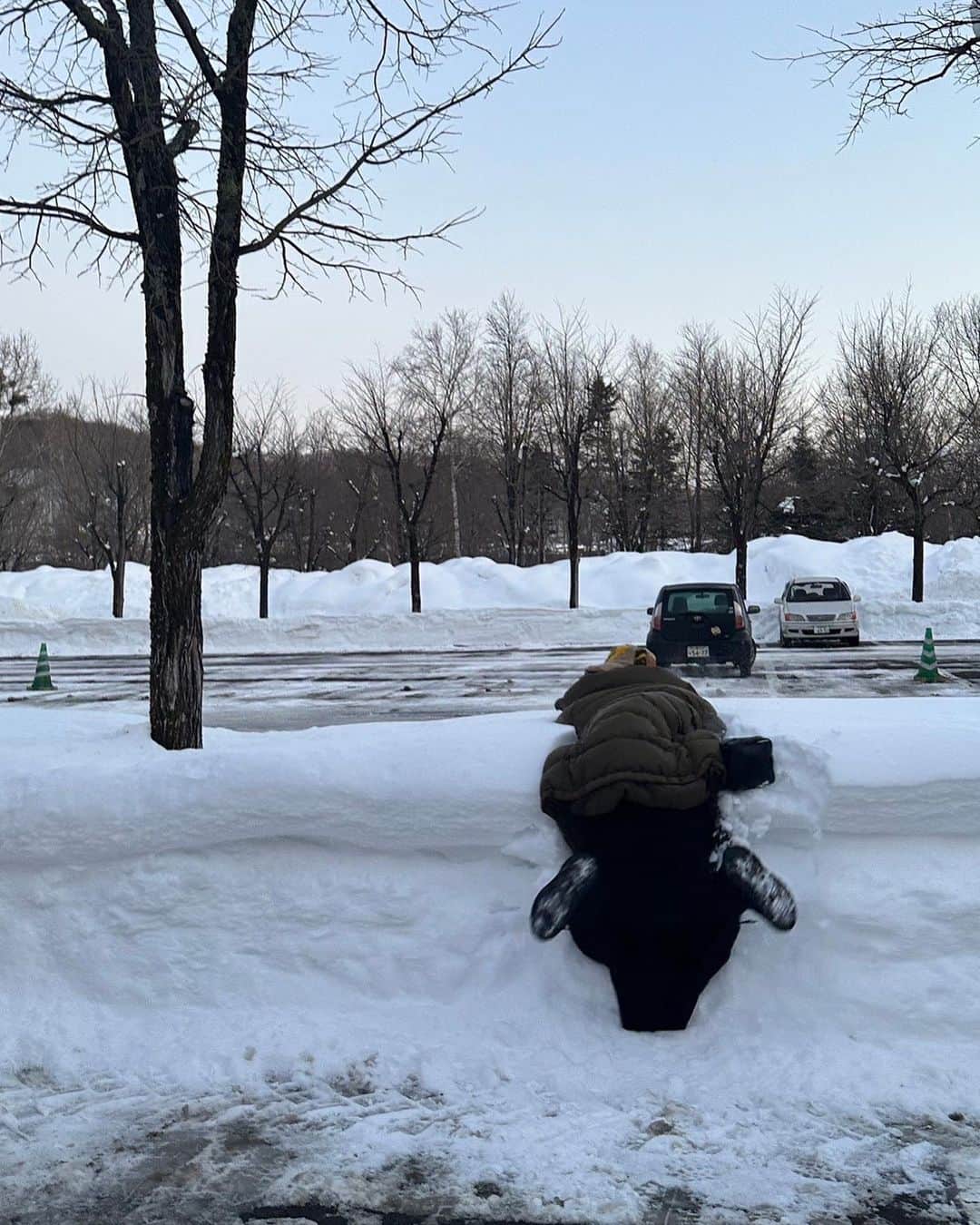 中上真亜子さんのインスタグラム写真 - (中上真亜子Instagram)「こないだの北海道旅はこれ☃️   2/12から開催される 雪が舞う季節に花見を楽しむ！というナイトライフイベント「SAPPOROARTCAMP2023」 のレセプションに参加にして来たよ🥳  1枚目はフローリストによる北海道ならではの ブリザードフラワー演出☃️ 白銀の世界に佇んでて とっても神秘的で美しかった☺️💐最終日2/19には花火もあがるらしいよっ🎇（雪だるまは自分で作ったよ、変わった性格を持ってそうな子になった  今年3回目らしいんだけど 今回から食も加わったということで 参加予定のSapporo Cheese House Mero.による 北海道チーズを使った料理・ワイナリーの 藤野ワインなども堪能させてもらった🤤  そして今回体験したワイルドムスタングスのお馬さん🐴  アートキャンプ会場内にて限定日開催「夜の引き馬体験」も計画中らしい☺️  ちなみに🕺名鉄観光で 「SAPPOROARTCAMP Winter Tours募集中」らしいよっ（詳しくはSAPPOROARTCAMP-HPにて🕺東京・大阪・名古屋・福岡発着💐）  楽しいこと美味しい盛りだくさんだと思うので よかったら是非チェックしてみてね☺️  #リモ旅北海道 #sapporoartcamp #sapporoアートキャンプ #藤野ワイン #wildmustangs #羊々亭 #SapporoCheeseHouseMero. #焼き鳥とイタリアンOsteriaarcobaleno #札幌芸術の森 #BARISTARTCOFFEE #japanairlines #pr #白い恋人でオリジナルのペイントもやったよ👄 #最後の1枚はテンション上がって雪に飛び込んだところだよみんなも気をつけてね」1月28日 19時03分 - maako_nakagami