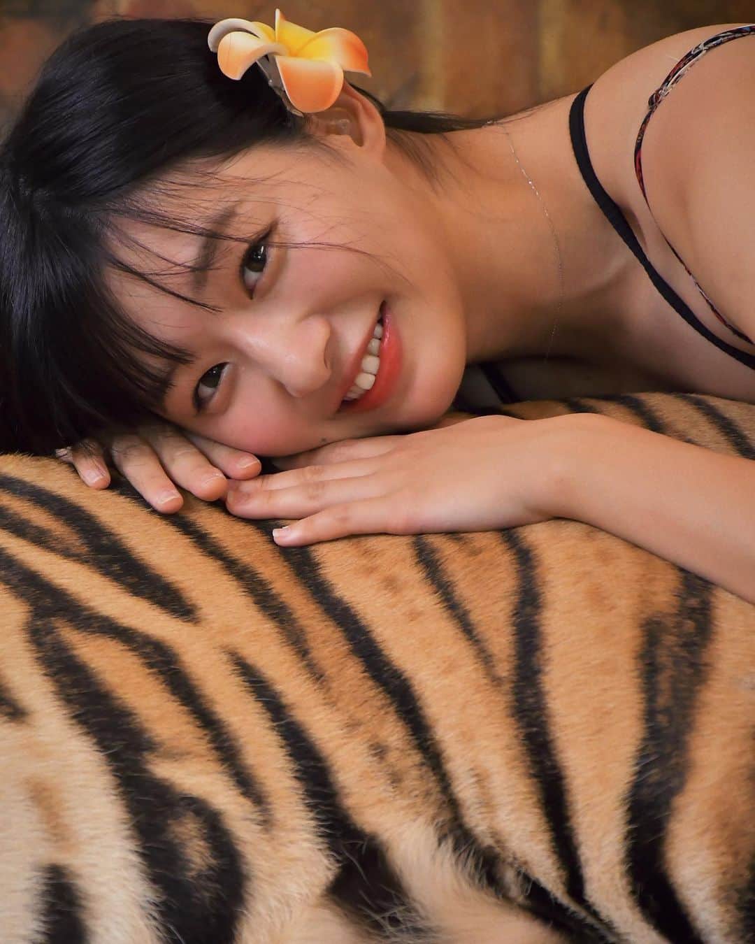 我妻ゆりかさんのインスタグラム写真 - (我妻ゆりかInstagram)「タイで虎に触りました！  念願の……！！タイガーとの触れ合い🐯✨  実は私は動物の中で  ライオンと虎が1番好きです！🦁🐯🔥  大きくて凶暴な感じが凄くたまらんとなっております……！❤️  日本は餌をあげることしかできず ずっと物足りなかったので  タイに行ったら絶対にしたかった……！  めちゃくちゃ可愛かった…🥰  私は1人で行ったのでフォトグラファー有りのプランをオプションで付けました！  めちゃくちゃ写真集みたいな写真を撮ってくれて、更にスマホにデータをすぐに入れてくれて とても良かったです！  2匹のトラと一緒に撮ってもらって、体感20分くらいでした！  スタッフの皆さんとても優しくて、 最高の思い出になりました✨  ありがとうございました！🫶🇹🇭  #グラビア  #グラビアアイドル #アイドル #ポートレート #portrate #タイ旅行  #タイ  #プーケット #タイガーキングダム」1月29日 0時50分 - wagatsuma_yurika