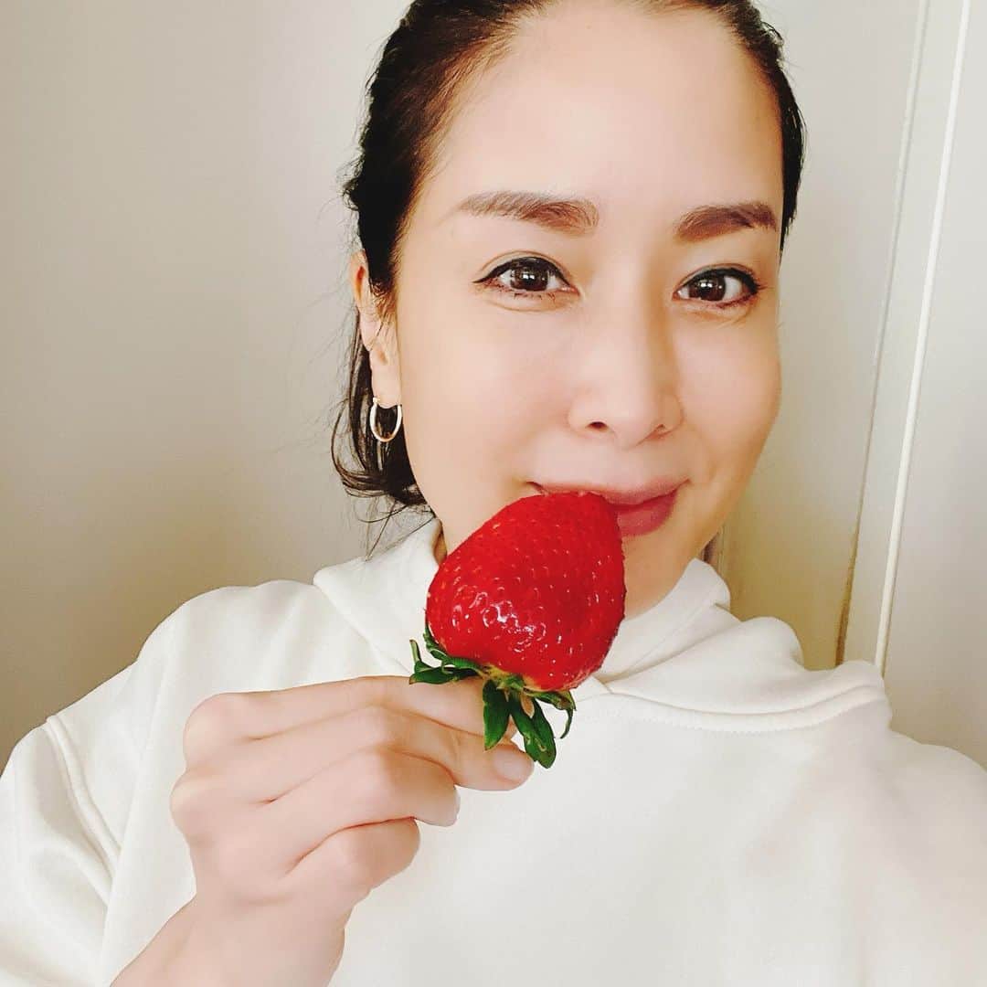 内田恭子さんのインスタグラム写真 - (内田恭子Instagram)「こんにちは。  いちご。フルーツの中で一番好き！ いつもありがとうございます。 家族みんな大喜び。  #いちご  #毎日食べられる  #lovestrawberries  #strawberry  #内田恭子  #kyokouchida」1月29日 13時46分 - kyoko.uchida.official