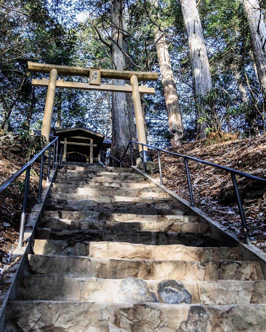SHOCK EYEさんのインスタグラム写真 - (SHOCK EYEInstagram)「今年も三峯神社に初詣してきました🙏✨  いつきても凛とした佇まい。 澄みきった空気、木々のパワーを感じながらの参拝でした。  本殿や石畳の龍、夫婦杉はもちろん素晴らしいけれど、 是非、訪ねて欲しいところは、ご眷属であるオオカミが祀られている遠宮（御仮屋）。  鳥居をくぐり階段を上りきるとたくさんのオオカミの石像があって、明らかに他とは違う空気。 あの”もののけ姫”に登場する白い犬神モロのモデルにもなった大口真神が祀られている。  あらゆるものを祓い清め、さまざまな災いを除くと言われるオオカミの神様。  是非その力を感じに行ってみてね✨  そして本年もどうぞよろしくお願いします🙏✨  #三峯神社 #mitsumineshrine #奥秩父 #パワースポット #shrine #japantravel #japantrip #canon #canonR5 #beautifuldestinations #discoverjapan #discoverearth #voyaged #awesome_photographers #IamATraveler #wonderful_places #japanphoto #japanphotography #japan_of_insta #livingonearth #theglobewanderer」1月29日 17時14分 - shockeye_official