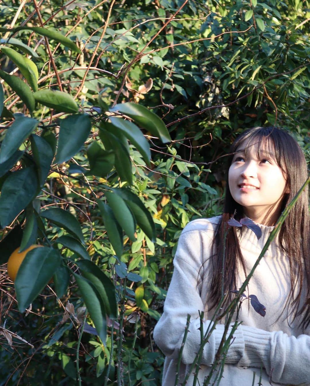 前野えまさんのインスタグラム写真 - (前野えまInstagram)「春を探しに🌱 ・ ・ #緑のある風景  #花のある風景  #花の写真  #カメラ女子   #naturephotography  #flowerphotography  #camera  #cameragirl  #girlportrait #actress #actor #girl #photography #portrait #japanesegirl #portraitphotography #daily_phot_jpn #japan_daytime_view」1月29日 20時35分 - maeno_ema