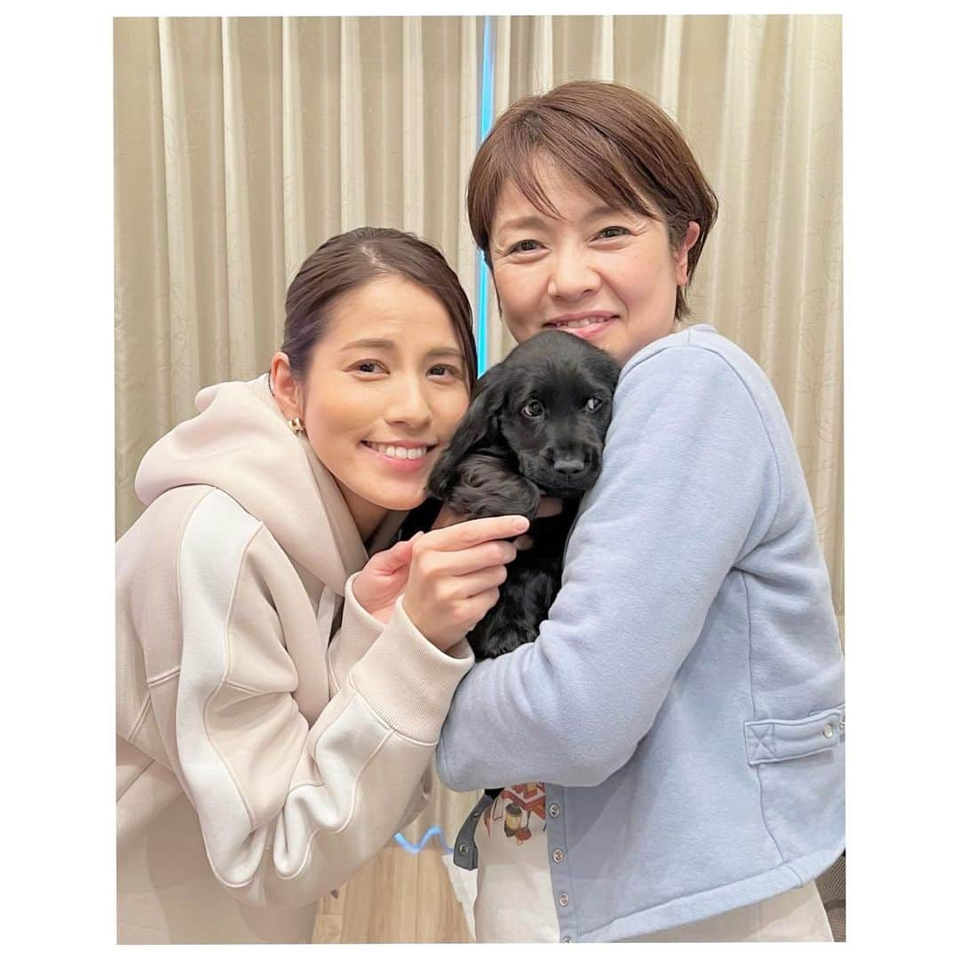 永島優美さんのインスタグラム写真 - (永島優美Instagram)「* 1週間で0.5㌔増。 耳もどんどん伸びてきています！ 子犬ってこんなに成長が早いんですね😂  #きょうのわんこ でおなじみ喜久恵さんにたくさん遊んでもらって上機嫌なメルシーなのでした🐾  #喜久恵さんをひたすらペロペロ」1月29日 21時02分 - yuumi_nagashima