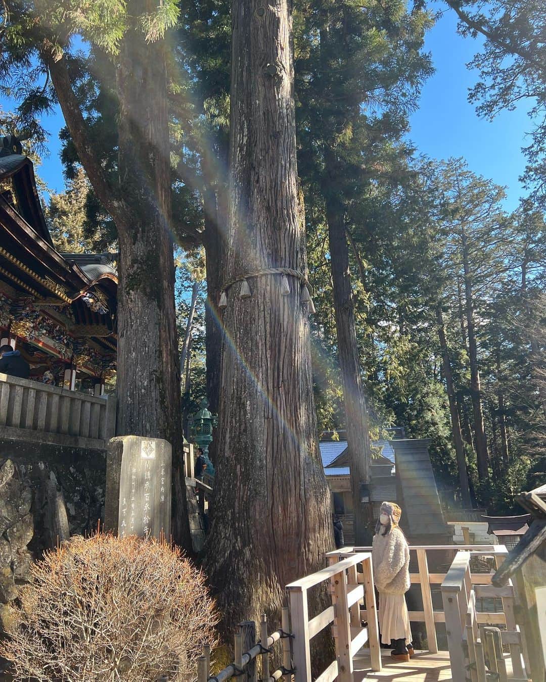 山田菜々さんのインスタグラム写真 - (山田菜々Instagram)「三峯神社へ✨  いつも同じメンバーで行くねんけど、 誰かが行こって言うといつもその場で ぽんぽんっと予定が決まって決行されるの🤔✨  だからなんとなく行きたくなったときが タイミングだと思って行ってます😌🫰🏻  すごい快晴で思ってたよりあったかくて、 片道3時間ちょいのドライブだけど 楽しく過ごせましたっ♡  急遽お友達たちが前日に泊まりにくることになって 7:00に起きて8:00出発のはずが 誰も起きれず8:00に起きたけど 日曜日だし問題なーしっ！笑  2.3枚目がお気に入りです✨」1月29日 22時12分 - tannana.yamada