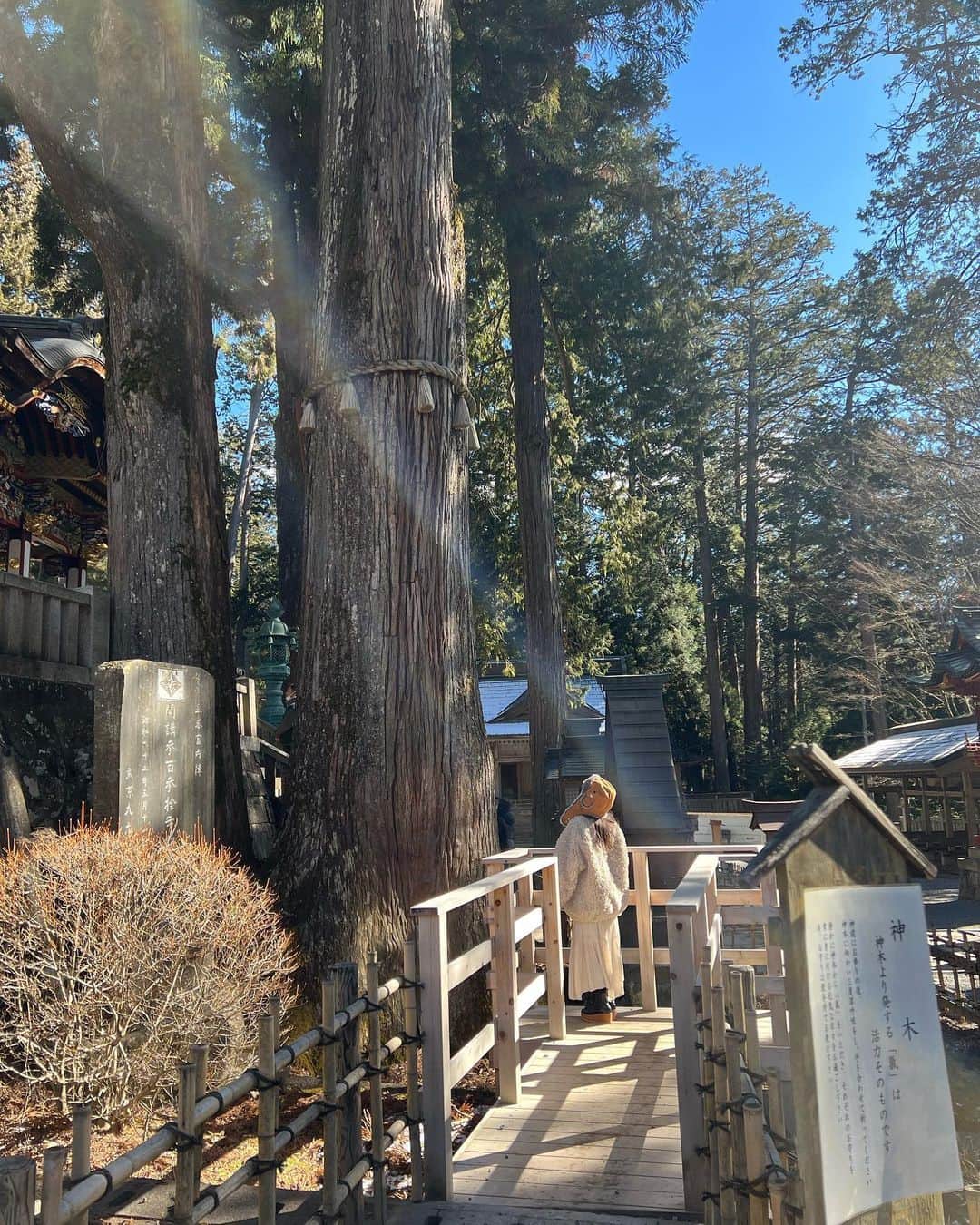 山田菜々さんのインスタグラム写真 - (山田菜々Instagram)「三峯神社へ✨  いつも同じメンバーで行くねんけど、 誰かが行こって言うといつもその場で ぽんぽんっと予定が決まって決行されるの🤔✨  だからなんとなく行きたくなったときが タイミングだと思って行ってます😌🫰🏻  すごい快晴で思ってたよりあったかくて、 片道3時間ちょいのドライブだけど 楽しく過ごせましたっ♡  急遽お友達たちが前日に泊まりにくることになって 7:00に起きて8:00出発のはずが 誰も起きれず8:00に起きたけど 日曜日だし問題なーしっ！笑  2.3枚目がお気に入りです✨」1月29日 22時12分 - tannana.yamada
