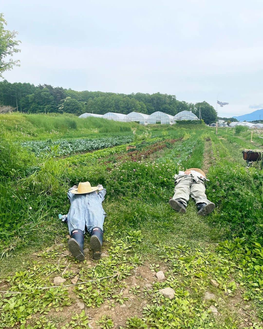 長濱ねるさんのインスタグラム写真 - (長濱ねるInstagram)「@sakuraando サクラさんと🌿 NHK BSプレミアムにて 本日19時〜 二夜連続ドラマ「旅屋おかえり」が放送されます！ 蓼科とっても素敵な場所でした。ぜひご覧ください。」1月30日 14時14分 - nerunagahama_