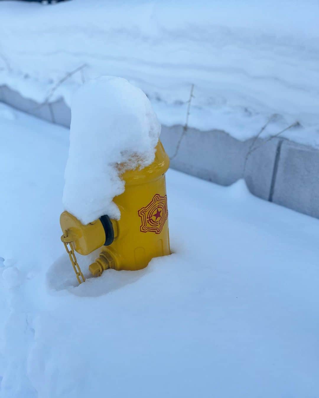 崎山一葉さんのインスタグラム写真 - (崎山一葉Instagram)「* ❄️  ☃️  自分で作った雪だるまと 道端にいた雪だるま。  パウダースノーは難しいね。  #hokkaido   ※いまは沖縄にいます。」1月30日 22時56分 - kazuha_sakiyama