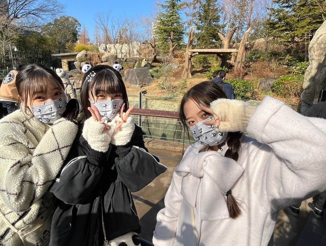 譜久村聖さんのインスタグラム写真 - (譜久村聖Instagram)「上野動物園での思い出🐼  ①パンダさんの肉まんを食べようとする小田さくらちゃん ②パンダさんの置物の前でパワーを送る練習をする山﨑愛生ちゃん ③暁暁さんと蕾蕾さんのキーホルダーお揃いで買いました♪ ④かっこよかったハシビロさん ⑤大好きなカワウソちゃん見れたよ ⑥力力さんを見つめる3人 ⑦力力さんと4shot(力力さんを探せ！)  #YouTube #やまざきめいのパンダさんだいすき!! #見てくれたかな〜？ #morningmusume23 #モーニング娘 #morningmusume #モーニング娘23 #山﨑愛生 #小田さくら #譜久村聖 #上野動物園 #パンダ さん #暁暁 さん #蕾蕾さん #力力 さん」1月30日 23時01分 - mizuki_fukumura.official