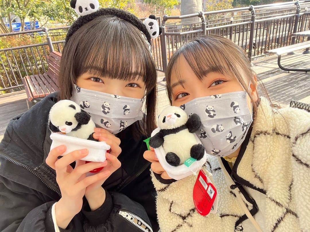 譜久村聖さんのインスタグラム写真 - (譜久村聖Instagram)「上野動物園での思い出🐼  ①パンダさんの肉まんを食べようとする小田さくらちゃん ②パンダさんの置物の前でパワーを送る練習をする山﨑愛生ちゃん ③暁暁さんと蕾蕾さんのキーホルダーお揃いで買いました♪ ④かっこよかったハシビロさん ⑤大好きなカワウソちゃん見れたよ ⑥力力さんを見つめる3人 ⑦力力さんと4shot(力力さんを探せ！)  #YouTube #やまざきめいのパンダさんだいすき!! #見てくれたかな〜？ #morningmusume23 #モーニング娘 #morningmusume #モーニング娘23 #山﨑愛生 #小田さくら #譜久村聖 #上野動物園 #パンダ さん #暁暁 さん #蕾蕾さん #力力 さん」1月30日 23時01分 - mizuki_fukumura.official