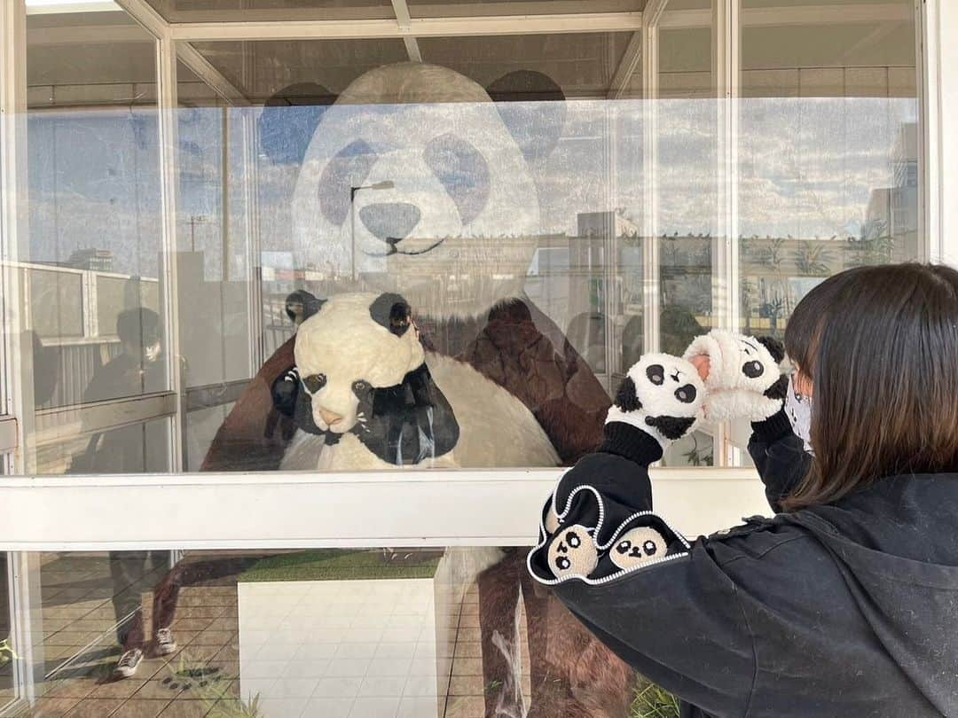 譜久村聖さんのインスタグラム写真 - (譜久村聖Instagram)「上野動物園での思い出🐼  ①パンダさんの肉まんを食べようとする小田さくらちゃん ②パンダさんの置物の前でパワーを送る練習をする山﨑愛生ちゃん ③暁暁さんと蕾蕾さんのキーホルダーお揃いで買いました♪ ④かっこよかったハシビロさん ⑤大好きなカワウソちゃん見れたよ ⑥力力さんを見つめる3人 ⑦力力さんと4shot(力力さんを探せ！)  #YouTube #やまざきめいのパンダさんだいすき!! #見てくれたかな〜？ #morningmusume23 #モーニング娘 #morningmusume #モーニング娘23 #山﨑愛生 #小田さくら #譜久村聖 #上野動物園 #パンダ さん #暁暁 さん #蕾蕾さん #力力 さん」1月30日 23時01分 - mizuki_fukumura.official