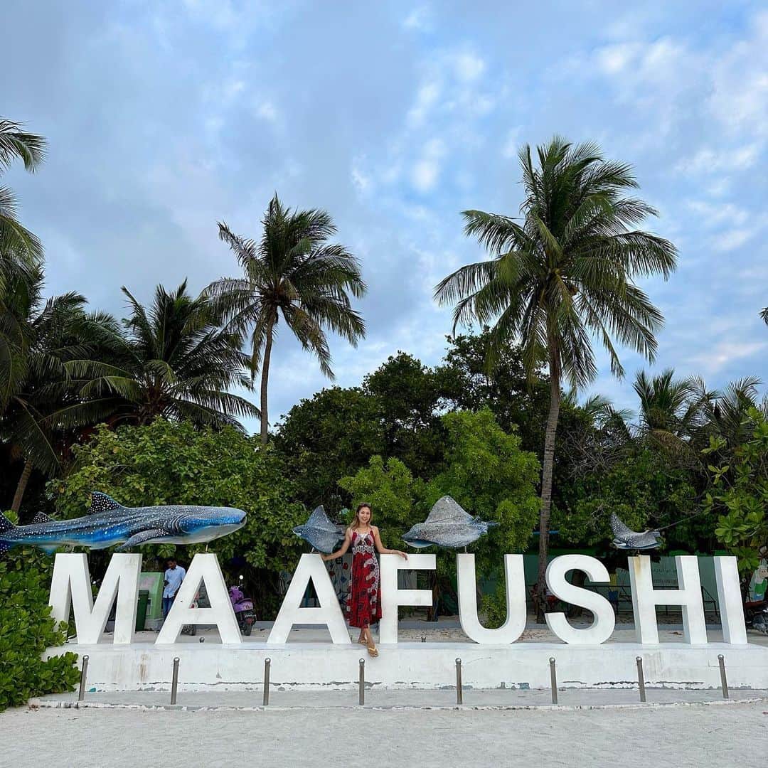 市原彩花さんのインスタグラム写真 - (市原彩花Instagram)「Maafushi Island, Maldives🏝  モルディブのマーフシ島🏝 高級リゾートのイメージがあるモルディブで、安く行けるローカル島🐠  リゾート島だと水上コテージが1泊安くても6万〜数百万、島までの送迎もボートだと一人2.3万〜水上飛行機だと5.5万円以上することも。 でもマーフシ島なら宿1万円以下、送迎フェリーも片道35分$25(¥3200)か、1時間半の船だと$3(¥400)で行けちゃう🥹✨  もちろん1島1ホテルのリゾート島とは全く違う雰囲気だけど、安くモルディブを味わえてとても良い💙 個人的にはリゾート島の方がテンション上がるので(金額が全然違うしそりゃそうw)、マーフシ3泊リゾート3泊とかでも旅費が安く抑えられていいと思う😊  私達はスリランカ行きのスリランカ航空の飛行機に+1万円でモルディブも付けれたので来てみた😆 10日くらい休み取れるならスリランカ+モルディブ旅行も安くまとめれていいと思う✨ (スリランカは広いので5泊以上推奨。私たちは7泊したよ) スリランカ⇄モルディブは1時間半✈️  ダイビングやマリンアクティビティも安いのでたくさん遊べる🐠 次はマンタやサメと泳げるツアーに行ってみたい😍 (次予約したいツアー会社→ @shadowpalmmaldives )  島は歩いて一周できるくらい小さくて、宿や夜中まで開いてるレストランがたくさん🏝 @moonlightmaldives ってお店がオシャレだし美味しかった😊 カード払いだと4%も追加で取るお店が多かったのでドル多めに持っていこう💰  モルディブにはリゾート島以外でお酒は売ってないし持ち込みもダメなので(空港で没収されて帰国するとき返却される)、マーフシ島だと海の上のボートレストランでは飲めるみたい🍸 うちらは予約したけど迎えのボートが来なかったから諦めたよ🤣なんなん🤣  日本からリゾート島行くと二人でトータル100万円くらいかかってしまうので(Tax23%くらいかかる)、マーフシと組み合わせて賢く遊ぶのもあり👍 オールインクルーシブにしないだけでも結構安くなる🍽  入出国の時はウェブ登録してQRコードが必要なので、あらかじめやっておこう🙆‍♀️(リンクはストーリーハイライトに) モルディブは基本的にどこも電波弱め😌 日常を忘れて海に癒されのんびりする国って感じです☺️  #私が世界一テンション上がる国 #モルディブ#Maldives#マーフシ#マーフシ島#maldivesislands#maafushi#beach#水着#ビキニ#bikini#swimsuit#bajurenang#japanesegirl#bikinigirl#bikinimodel#海外旅行#海外移住#モルディブ旅行#モルディブ観光#maldivestrip#maldiveslovers#maldivestravel #あーちゃんモルディブ  #あーちゃんスリランカ」1月31日 12時56分 - ayaka_ichihara