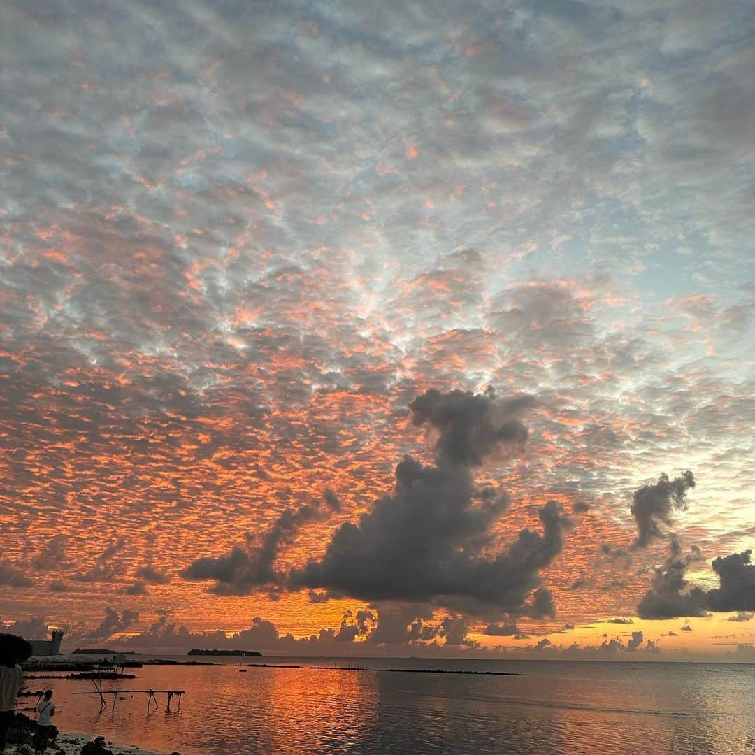 市原彩花さんのインスタグラム写真 - (市原彩花Instagram)「Maafushi Island, Maldives🏝  モルディブのマーフシ島🏝 高級リゾートのイメージがあるモルディブで、安く行けるローカル島🐠  リゾート島だと水上コテージが1泊安くても6万〜数百万、島までの送迎もボートだと一人2.3万〜水上飛行機だと5.5万円以上することも。 でもマーフシ島なら宿1万円以下、送迎フェリーも片道35分$25(¥3200)か、1時間半の船だと$3(¥400)で行けちゃう🥹✨  もちろん1島1ホテルのリゾート島とは全く違う雰囲気だけど、安くモルディブを味わえてとても良い💙 個人的にはリゾート島の方がテンション上がるので(金額が全然違うしそりゃそうw)、マーフシ3泊リゾート3泊とかでも旅費が安く抑えられていいと思う😊  私達はスリランカ行きのスリランカ航空の飛行機に+1万円でモルディブも付けれたので来てみた😆 10日くらい休み取れるならスリランカ+モルディブ旅行も安くまとめれていいと思う✨ (スリランカは広いので5泊以上推奨。私たちは7泊したよ) スリランカ⇄モルディブは1時間半✈️  ダイビングやマリンアクティビティも安いのでたくさん遊べる🐠 次はマンタやサメと泳げるツアーに行ってみたい😍 (次予約したいツアー会社→ @shadowpalmmaldives )  島は歩いて一周できるくらい小さくて、宿や夜中まで開いてるレストランがたくさん🏝 @moonlightmaldives ってお店がオシャレだし美味しかった😊 カード払いだと4%も追加で取るお店が多かったのでドル多めに持っていこう💰  モルディブにはリゾート島以外でお酒は売ってないし持ち込みもダメなので(空港で没収されて帰国するとき返却される)、マーフシ島だと海の上のボートレストランでは飲めるみたい🍸 うちらは予約したけど迎えのボートが来なかったから諦めたよ🤣なんなん🤣  日本からリゾート島行くと二人でトータル100万円くらいかかってしまうので(Tax23%くらいかかる)、マーフシと組み合わせて賢く遊ぶのもあり👍 オールインクルーシブにしないだけでも結構安くなる🍽  入出国の時はウェブ登録してQRコードが必要なので、あらかじめやっておこう🙆‍♀️(リンクはストーリーハイライトに) モルディブは基本的にどこも電波弱め😌 日常を忘れて海に癒されのんびりする国って感じです☺️  #私が世界一テンション上がる国 #モルディブ#Maldives#マーフシ#マーフシ島#maldivesislands#maafushi#beach#水着#ビキニ#bikini#swimsuit#bajurenang#japanesegirl#bikinigirl#bikinimodel#海外旅行#海外移住#モルディブ旅行#モルディブ観光#maldivestrip#maldiveslovers#maldivestravel #あーちゃんモルディブ  #あーちゃんスリランカ」1月31日 12時56分 - ayaka_ichihara