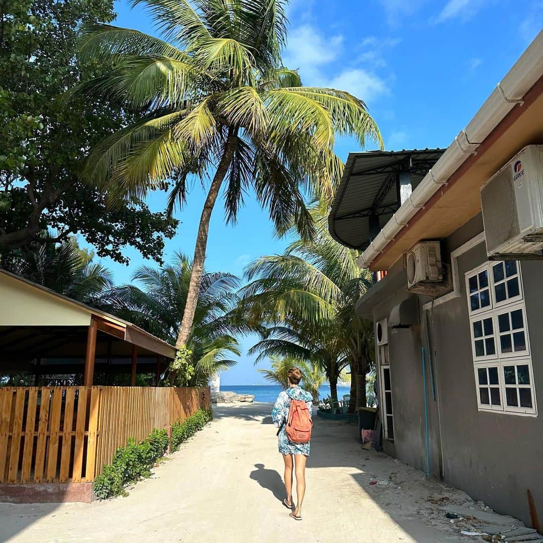 市原彩花さんのインスタグラム写真 - (市原彩花Instagram)「Maafushi Island, Maldives🏝  モルディブのマーフシ島🏝 高級リゾートのイメージがあるモルディブで、安く行けるローカル島🐠  リゾート島だと水上コテージが1泊安くても6万〜数百万、島までの送迎もボートだと一人2.3万〜水上飛行機だと5.5万円以上することも。 でもマーフシ島なら宿1万円以下、送迎フェリーも片道35分$25(¥3200)か、1時間半の船だと$3(¥400)で行けちゃう🥹✨  もちろん1島1ホテルのリゾート島とは全く違う雰囲気だけど、安くモルディブを味わえてとても良い💙 個人的にはリゾート島の方がテンション上がるので(金額が全然違うしそりゃそうw)、マーフシ3泊リゾート3泊とかでも旅費が安く抑えられていいと思う😊  私達はスリランカ行きのスリランカ航空の飛行機に+1万円でモルディブも付けれたので来てみた😆 10日くらい休み取れるならスリランカ+モルディブ旅行も安くまとめれていいと思う✨ (スリランカは広いので5泊以上推奨。私たちは7泊したよ) スリランカ⇄モルディブは1時間半✈️  ダイビングやマリンアクティビティも安いのでたくさん遊べる🐠 次はマンタやサメと泳げるツアーに行ってみたい😍 (次予約したいツアー会社→ @shadowpalmmaldives )  島は歩いて一周できるくらい小さくて、宿や夜中まで開いてるレストランがたくさん🏝 @moonlightmaldives ってお店がオシャレだし美味しかった😊 カード払いだと4%も追加で取るお店が多かったのでドル多めに持っていこう💰  モルディブにはリゾート島以外でお酒は売ってないし持ち込みもダメなので(空港で没収されて帰国するとき返却される)、マーフシ島だと海の上のボートレストランでは飲めるみたい🍸 うちらは予約したけど迎えのボートが来なかったから諦めたよ🤣なんなん🤣  日本からリゾート島行くと二人でトータル100万円くらいかかってしまうので(Tax23%くらいかかる)、マーフシと組み合わせて賢く遊ぶのもあり👍 オールインクルーシブにしないだけでも結構安くなる🍽  入出国の時はウェブ登録してQRコードが必要なので、あらかじめやっておこう🙆‍♀️(リンクはストーリーハイライトに) モルディブは基本的にどこも電波弱め😌 日常を忘れて海に癒されのんびりする国って感じです☺️  #私が世界一テンション上がる国 #モルディブ#Maldives#マーフシ#マーフシ島#maldivesislands#maafushi#beach#水着#ビキニ#bikini#swimsuit#bajurenang#japanesegirl#bikinigirl#bikinimodel#海外旅行#海外移住#モルディブ旅行#モルディブ観光#maldivestrip#maldiveslovers#maldivestravel #あーちゃんモルディブ  #あーちゃんスリランカ」1月31日 12時56分 - ayaka_ichihara