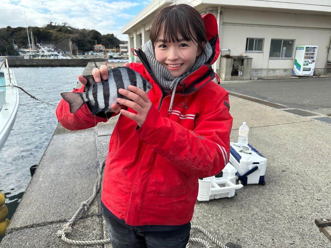 百川晴香さんのインスタグラム写真 - (百川晴香Instagram)「今日はお父さんと三浦半島にイシダイ釣りに行ってきました👏💓楽しかったー！！！！    #釣り #イシダイ #親子 #三浦半島 #japanesegirl #fishing #idol #japan」1月31日 14時03分 - momokawaharuka