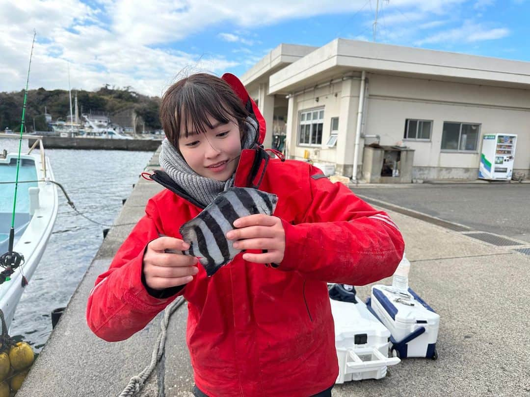 百川晴香さんのインスタグラム写真 - (百川晴香Instagram)「今日はお父さんと三浦半島にイシダイ釣りに行ってきました👏💓楽しかったー！！！！    #釣り #イシダイ #親子 #三浦半島 #japanesegirl #fishing #idol #japan」1月31日 14時03分 - momokawaharuka