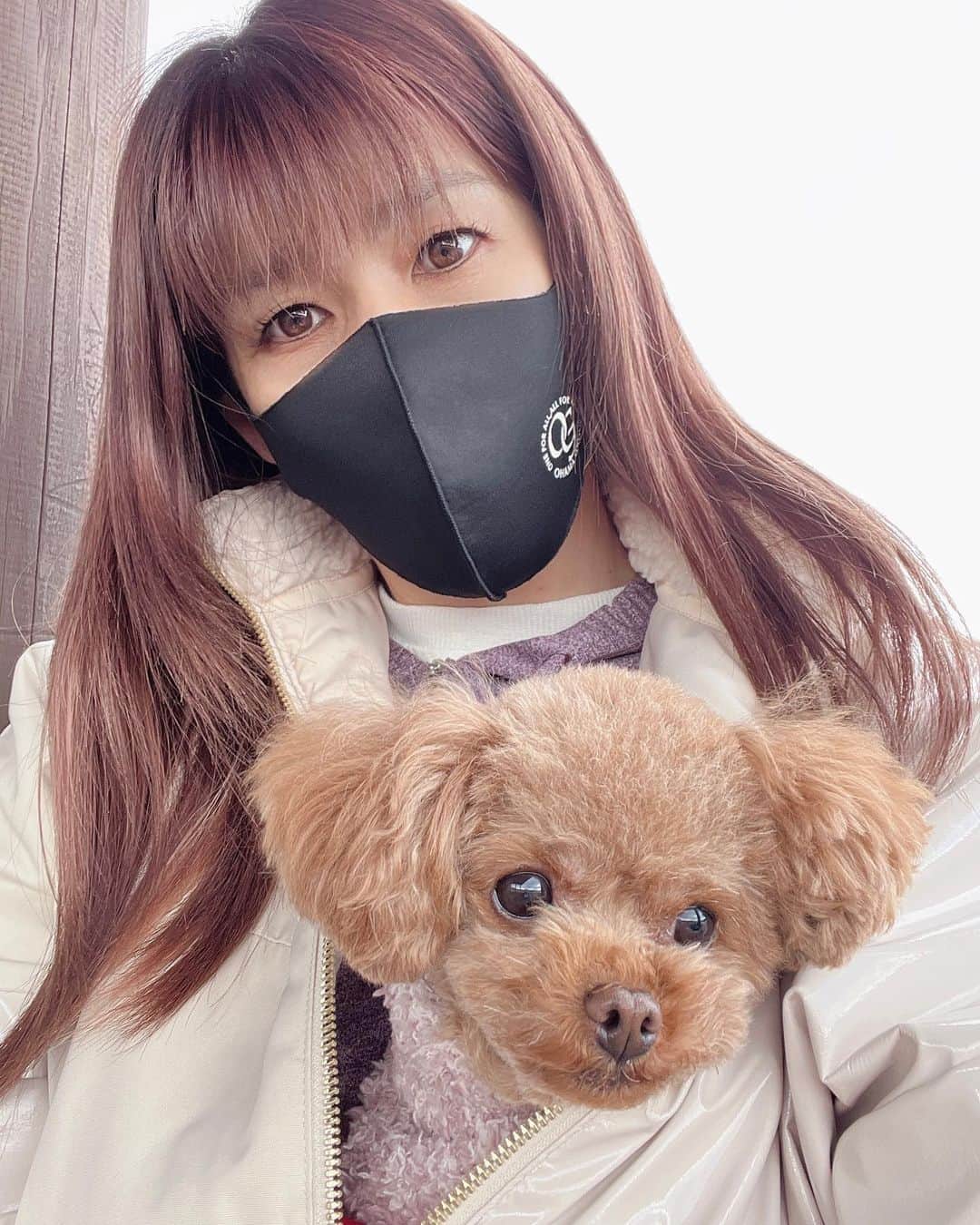 吉田沙保里さんのインスタグラム写真 - (吉田沙保里Instagram)「ジャンバーの中に入るのが大好きなリリー♥️  寒がりちゃんだから、 すぐにブルブル震えちゃいます🐶❄️  もう少し暖かくなったら、 いっぱいお外で遊ぼうね✊🏻❤️‍🔥  #愛犬 #リリー #トイプードル #女の子」1月31日 19時18分 - saori___yoshida