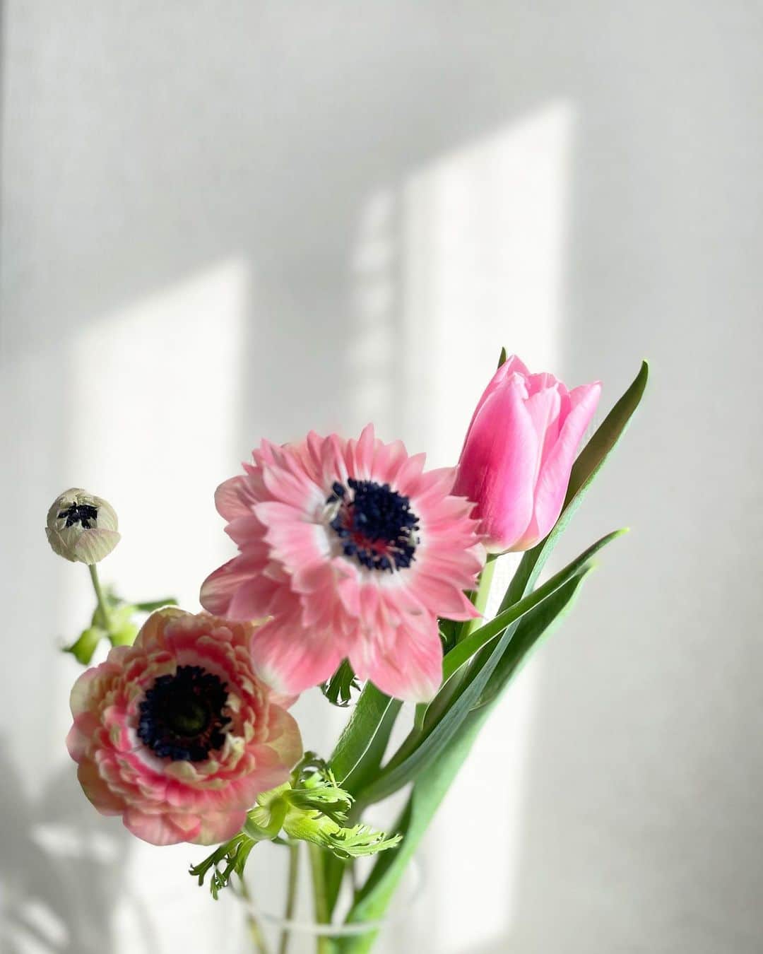 KAORI.OMURA 大村香織さんのインスタグラム写真 - (KAORI.OMURA 大村香織Instagram)「2月スタート🌷 新しい月、頑張りましょう  今日は手帳と睨めっこ  集中して 終わらせたいから カフェ💻に行こうかな  やり終えるまで 家に帰れないという決まりを 作ったら  凄く捗るよw  今週の花は 春の気配を感じる🌷も  #チューリップ#花#花が好きな人と繋がりたい #花がある暮らし #丁寧な暮らしに憧れる #アラフォーライフスタイル#ピンクの花#綺麗な花#起業女子 #独立#フリーランス」2月1日 9時01分 - kaori.omura