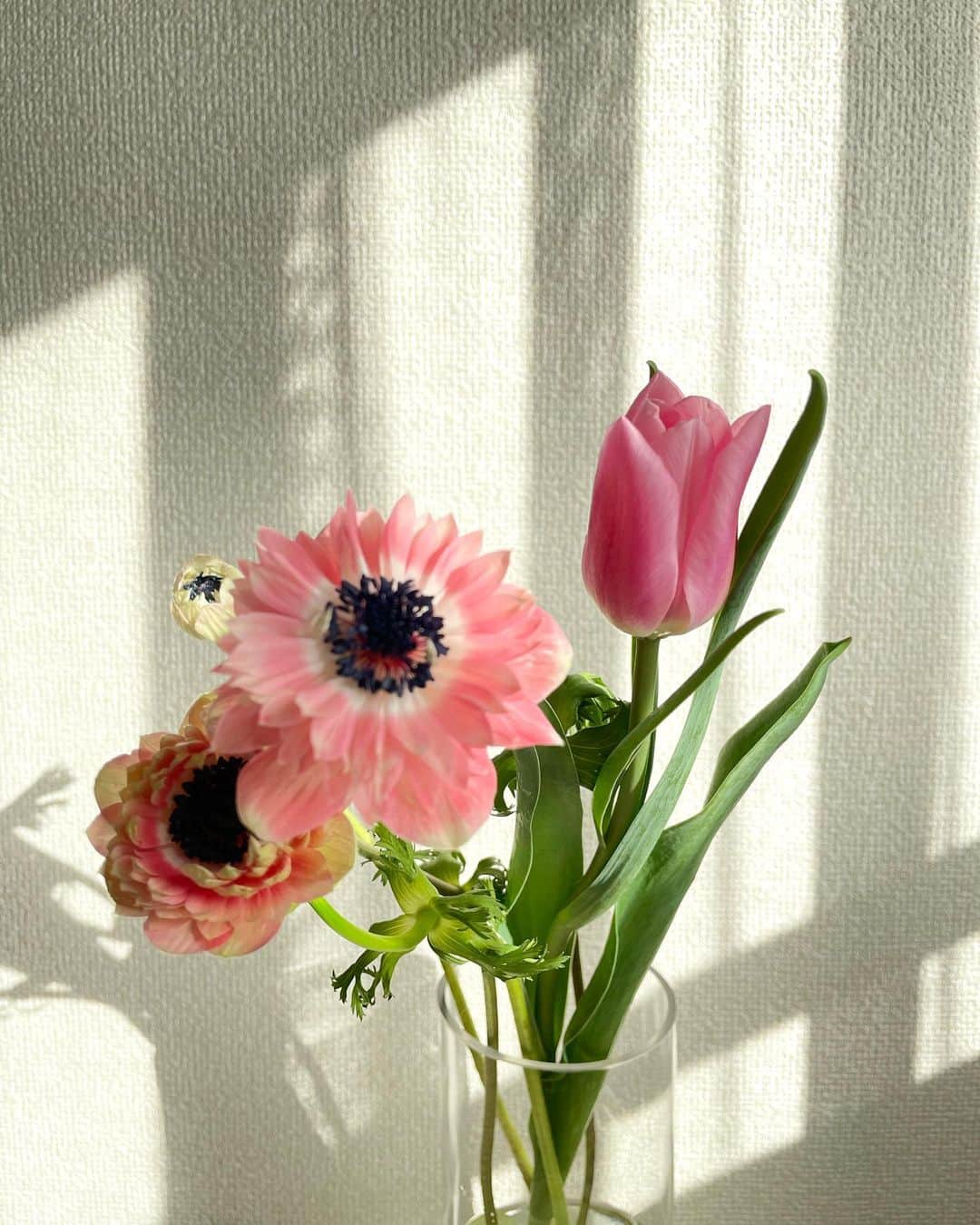 KAORI.OMURA 大村香織さんのインスタグラム写真 - (KAORI.OMURA 大村香織Instagram)「2月スタート🌷 新しい月、頑張りましょう  今日は手帳と睨めっこ  集中して 終わらせたいから カフェ💻に行こうかな  やり終えるまで 家に帰れないという決まりを 作ったら  凄く捗るよw  今週の花は 春の気配を感じる🌷も  #チューリップ#花#花が好きな人と繋がりたい #花がある暮らし #丁寧な暮らしに憧れる #アラフォーライフスタイル#ピンクの花#綺麗な花#起業女子 #独立#フリーランス」2月1日 9時01分 - kaori.omura