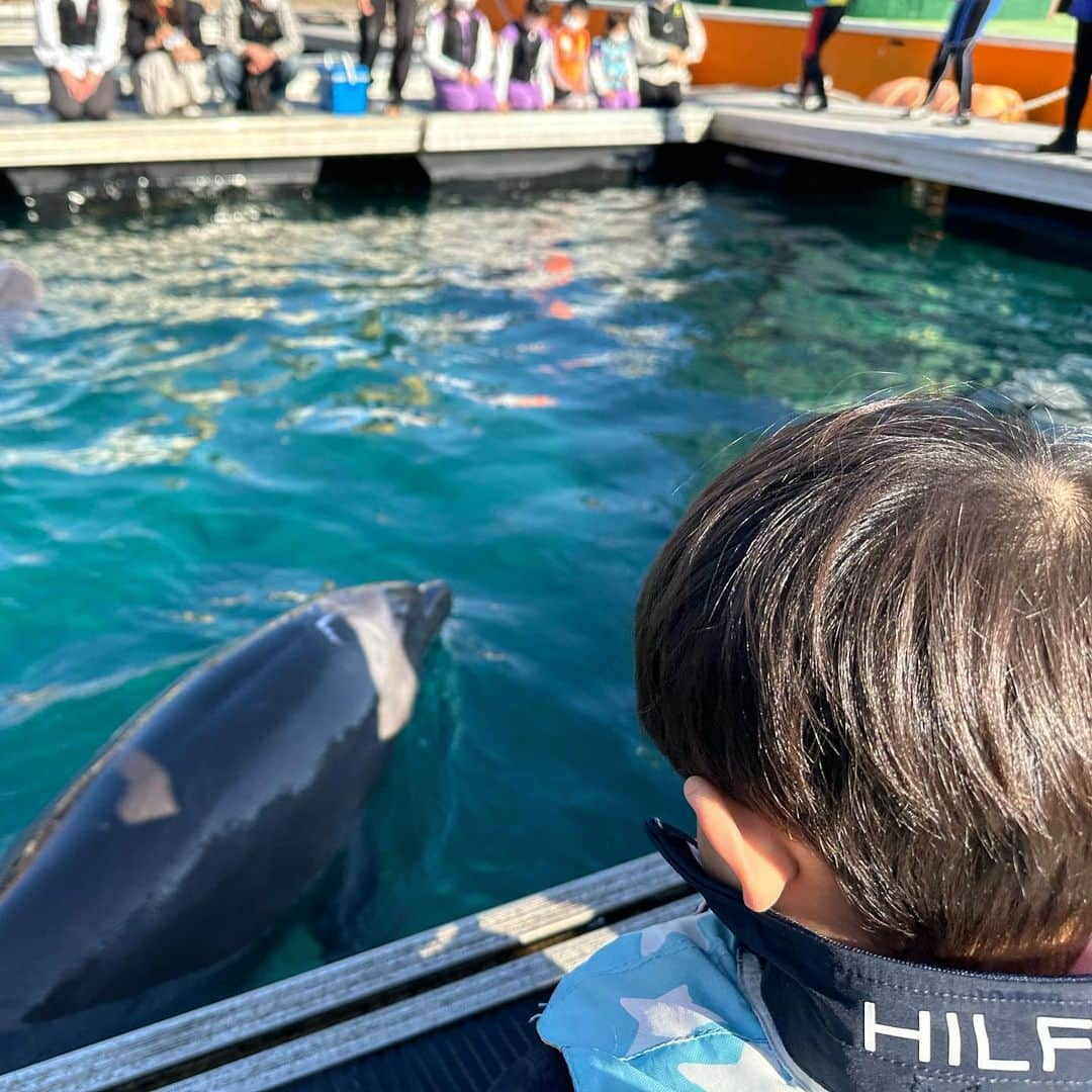 紀真耶さんのインスタグラム写真 - (紀真耶Instagram)「ビーチもプールもイルカとの触れ合いも全部、大満足！ スキーの大会のお手伝いも楽しかった✨  明日から働きます！ ☆ ☆ #沖縄 #海 #ビーチ #イルカ #エイも亀も鳥もいた #菅平高原スキー場 #東京都スキー技術選手権大会 #みんなスキー上手 #スキー女子 #テレビ朝日 #紀真耶」2月2日 17時27分 - maya0kino