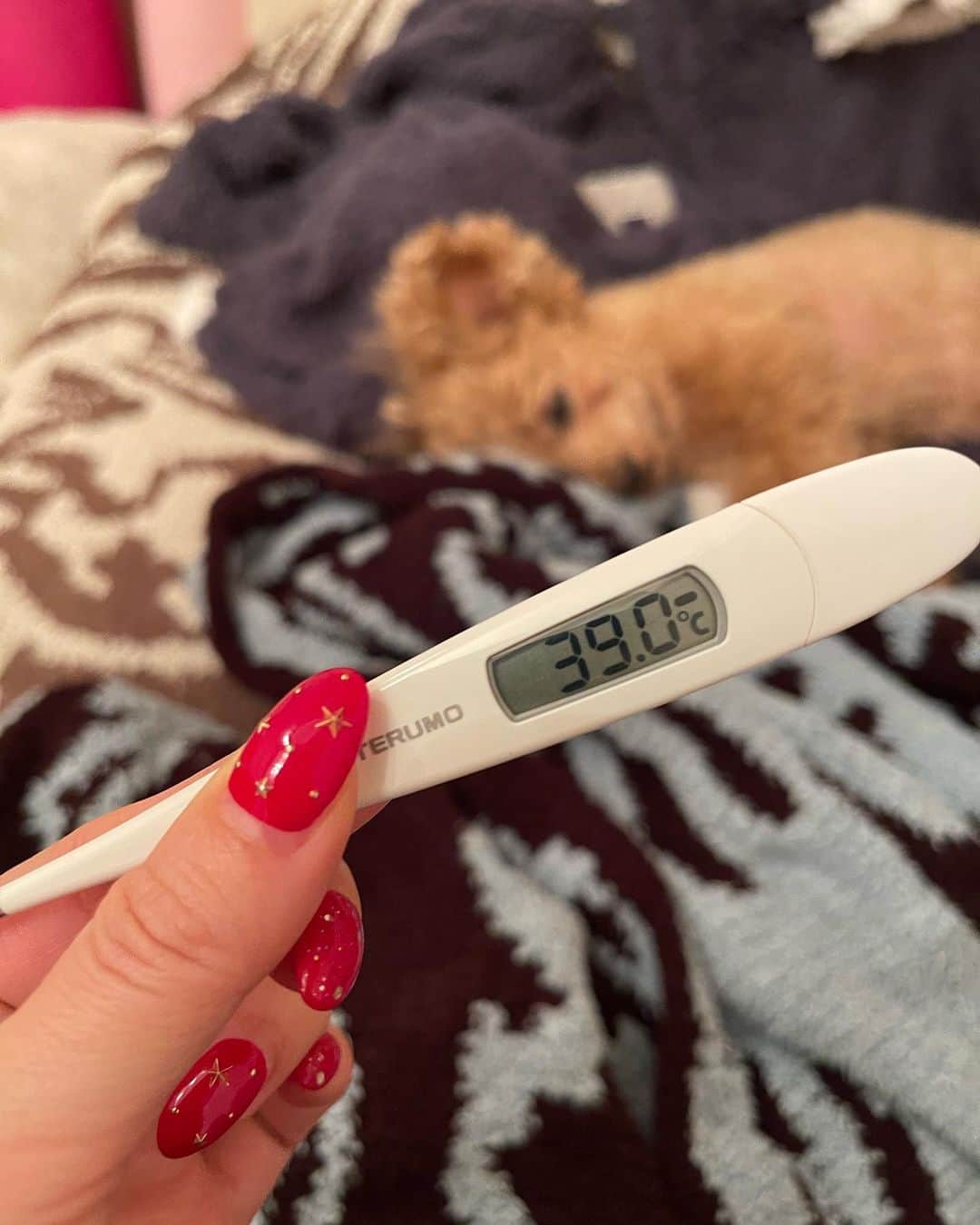 宮崎宣子さんのインスタグラム写真 - (宮崎宣子Instagram)「1月最初のゴルフ⛳️🏌️‍♀️ 以来行ってません💦 何故なら寒いからー❄️🥶  実はこの日、途中のプレーで待ち時間が長く、40分くらいカートにいたら、 その日の夜から寒気がしてきて、 次の日の夕方から熱が出ました😭  インフルエンザかコロナかと思ってたけど、両方ともなく…とりあえず風邪ということでしばらく寝てました🥲  最近も風邪引いてる方やインフルエンザも増えてますね😭💦  どうかお大事に🙏  ゴルフは３月の少し暖かくなってから再開します🥶 明日も寒いらしいですよー❄️  #ゴルフ好き #今年の冬は寒い #ゴルフは３月から #archivio #メンズアルチビオ #ゴルフコーデ #普段着でも使えるゴルフウェア  #生地が好き  #デザインも可愛い  #メンズデザイン #早く暖かくなーれ  #ゴルフ行きたい #pga #プロのゴルフで勉強しときます」2月2日 22時11分 - miyazaki_nobuko