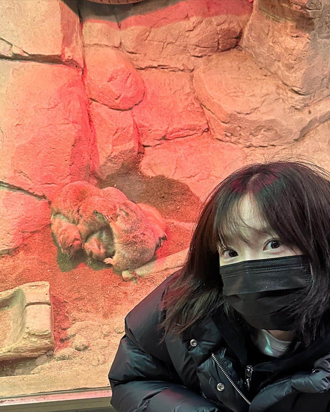 テヨン さんのインスタグラム写真 - (テヨン Instagram)「동물원」2月3日 10時32分 - taeyeon_ss