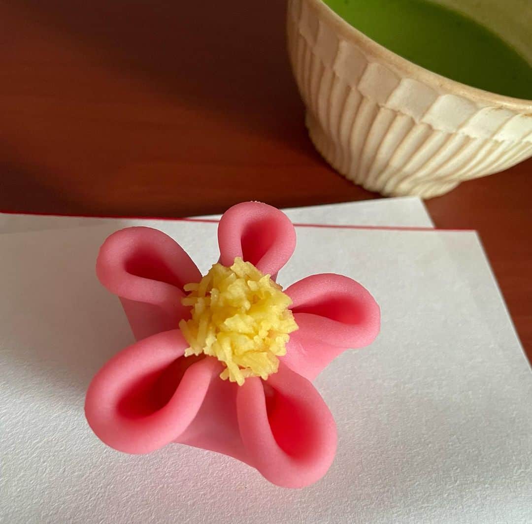 住吉美紀さんのインスタグラム写真 - (住吉美紀Instagram)「金曜の朝は上生菓子とお抹茶で元気チャージ。 季節の彩りも美しい。なにより美味しい🫶 #とらや」2月3日 11時34分 - miki_sumiyoshi